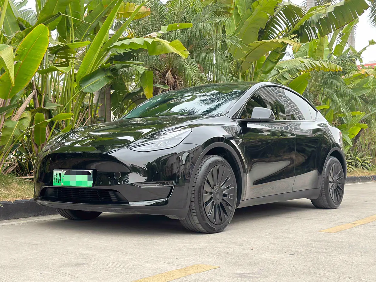 Tesla Model Y  из Китая