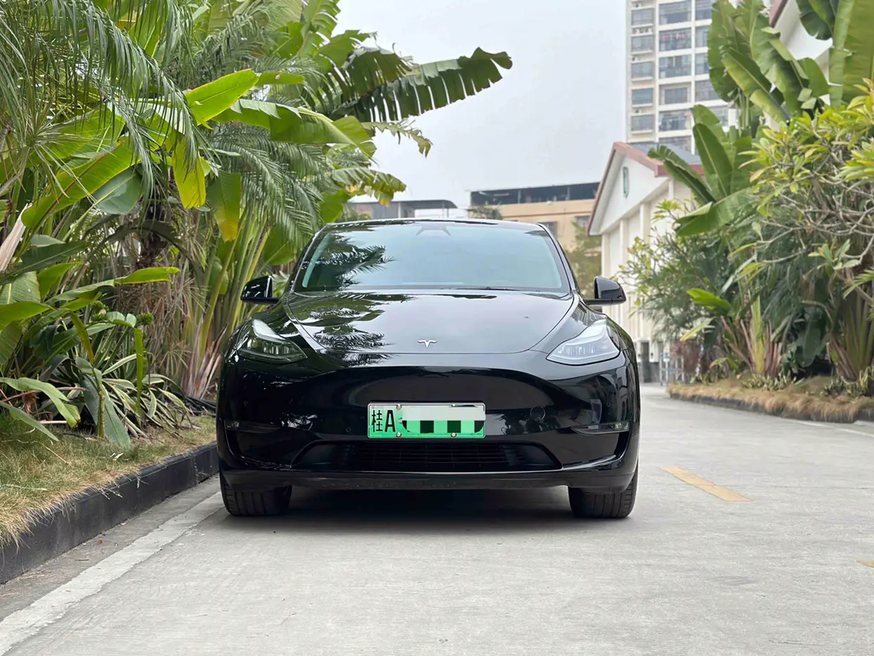 Tesla Model Y  из Китая