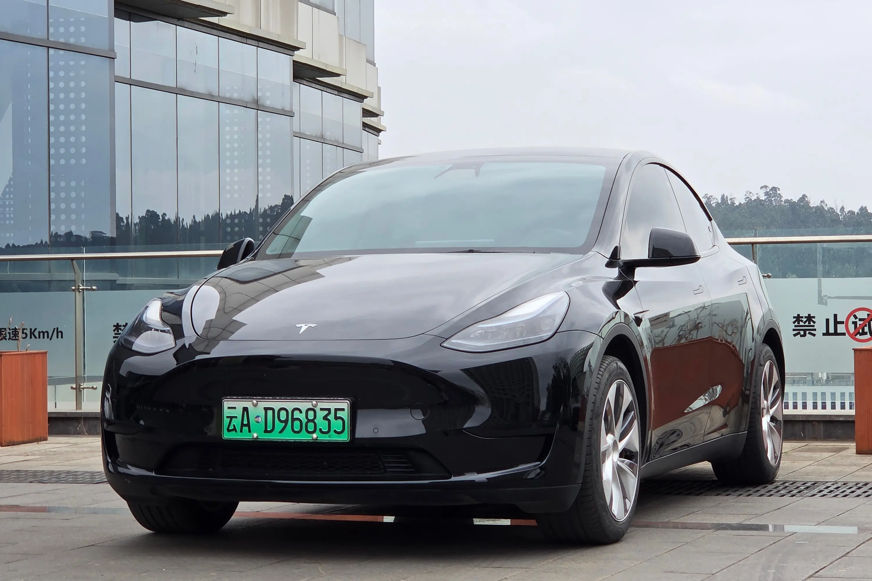 Tesla Model Y  из Китая