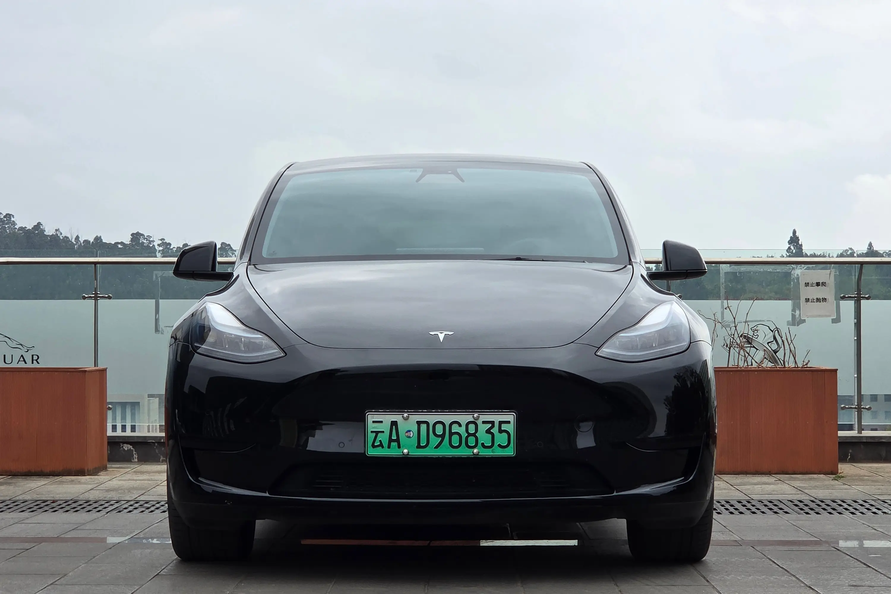 Tesla Model Y  из Китая