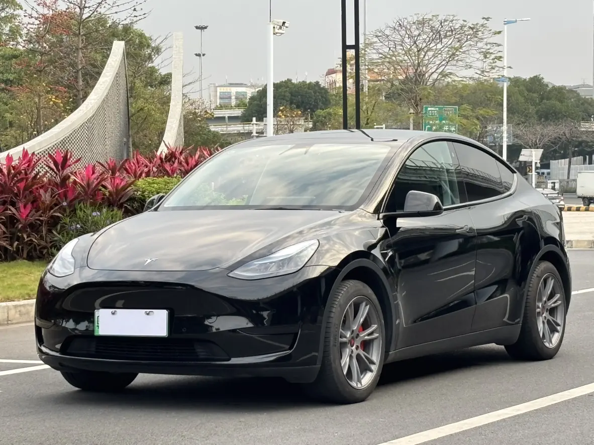 Tesla Model Y  из Китая