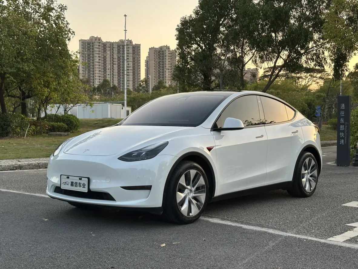 Tesla Model Y  из Китая