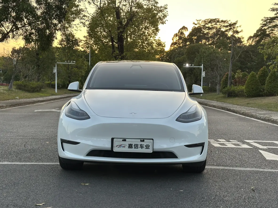 Tesla Model Y  из Китая