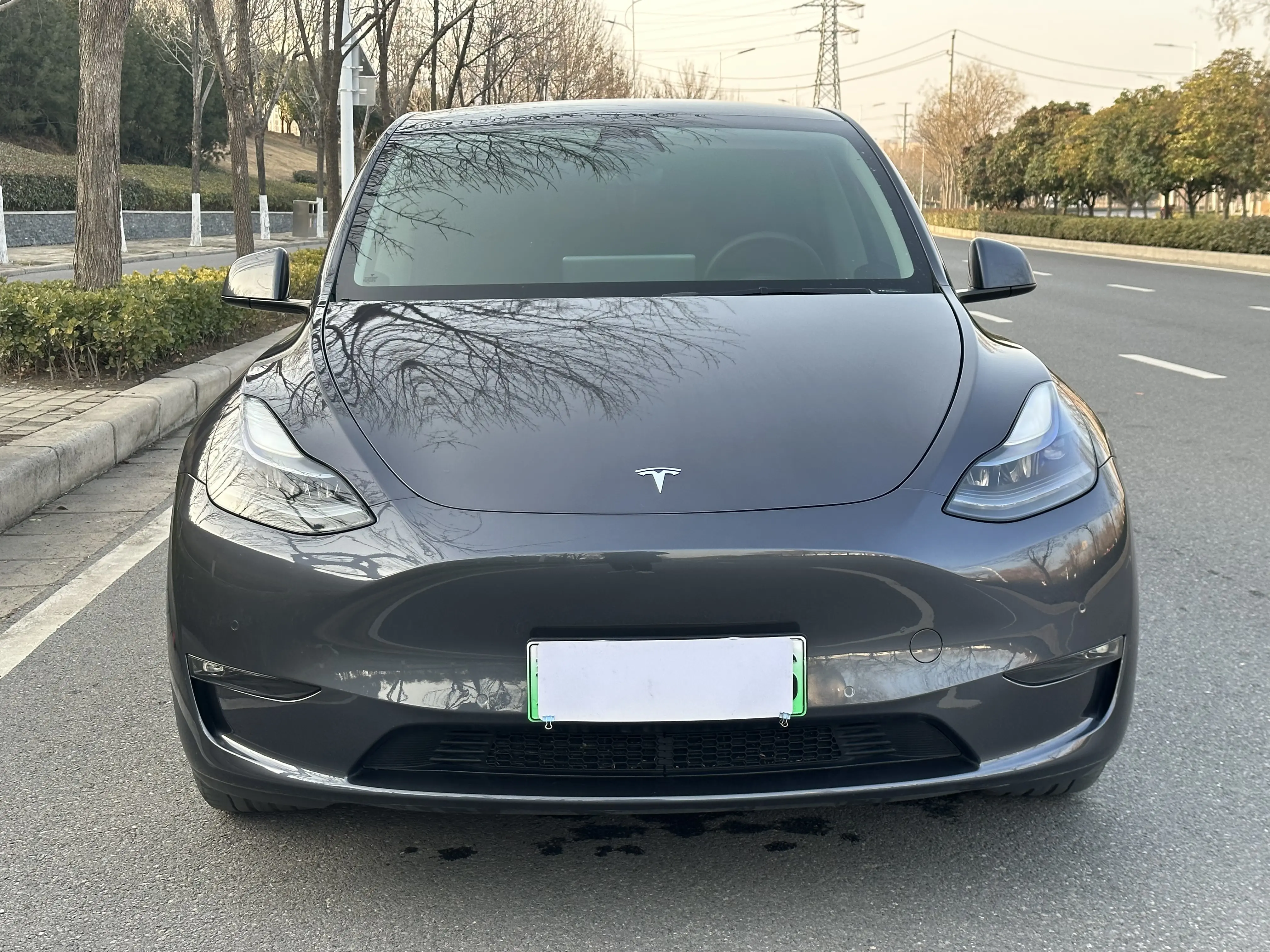 Tesla Model Y  из Китая