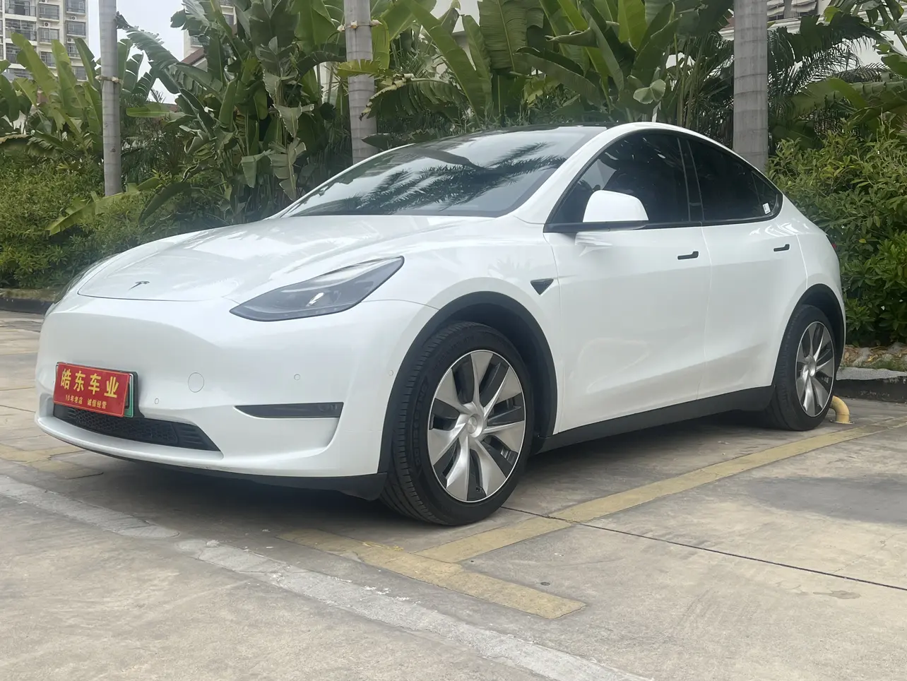 Tesla Model Y  из Китая