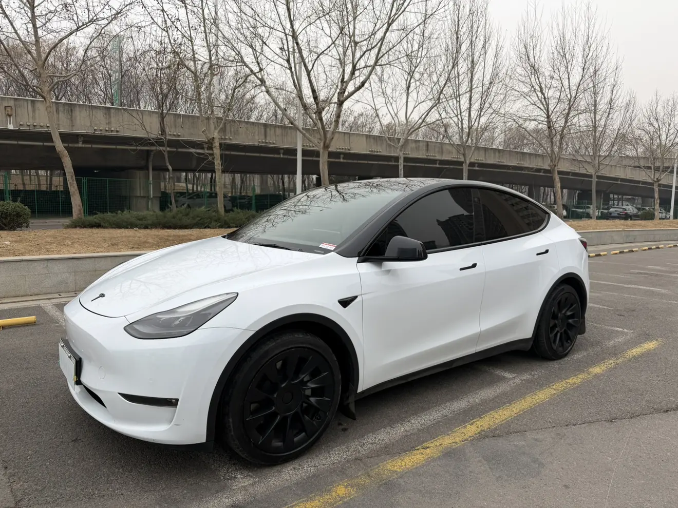 Tesla Model Y  из Китая