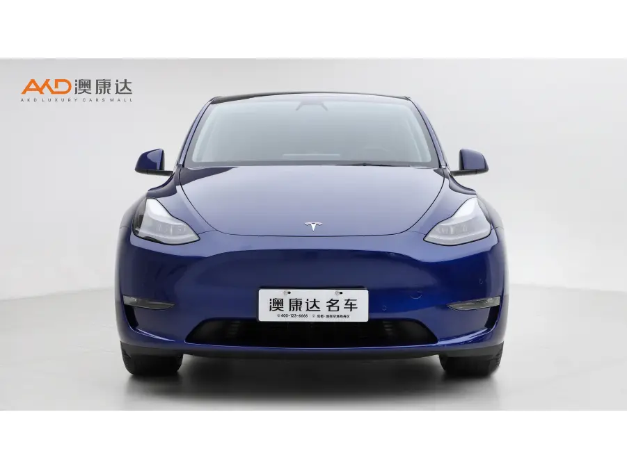 Tesla Model Y  из Китая