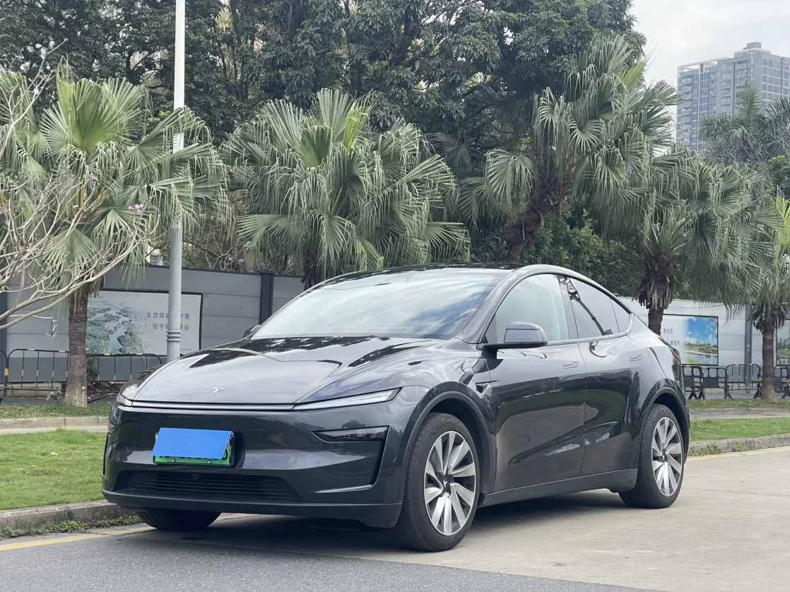 Tesla Model Y  из Китая