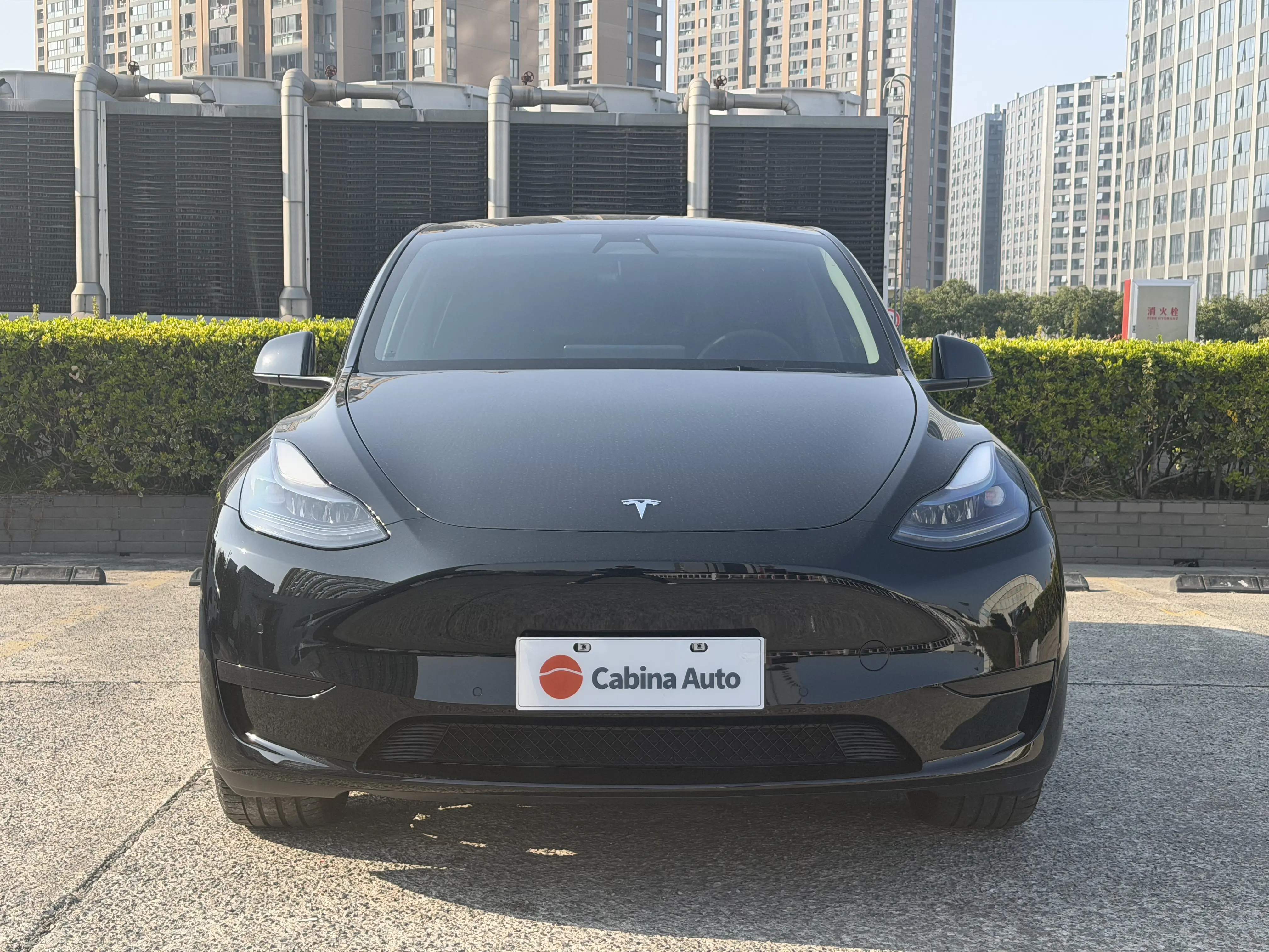 Tesla Model Y  из Китая