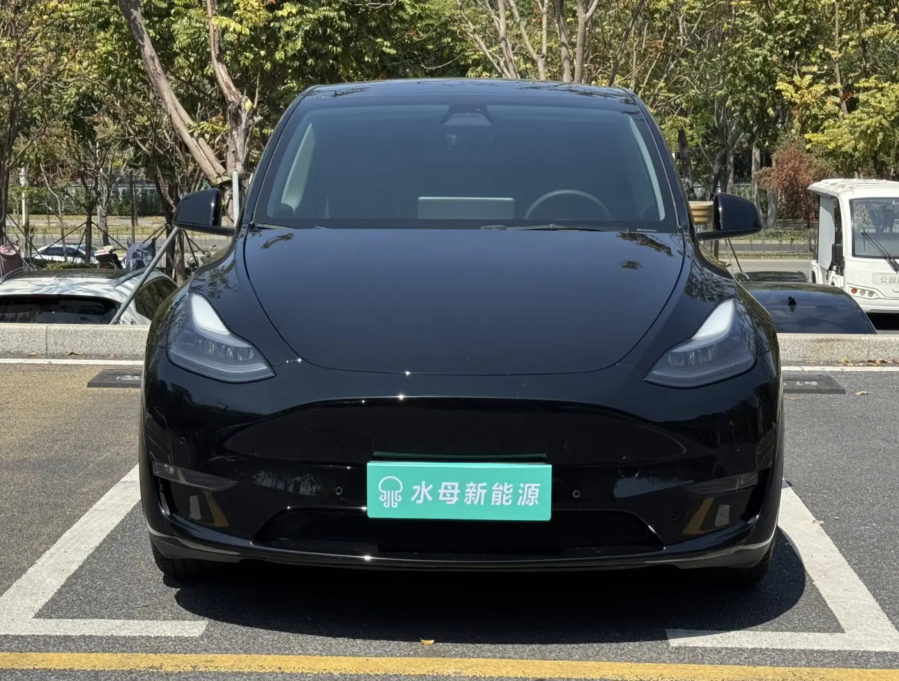 Tesla Model Y  из Китая