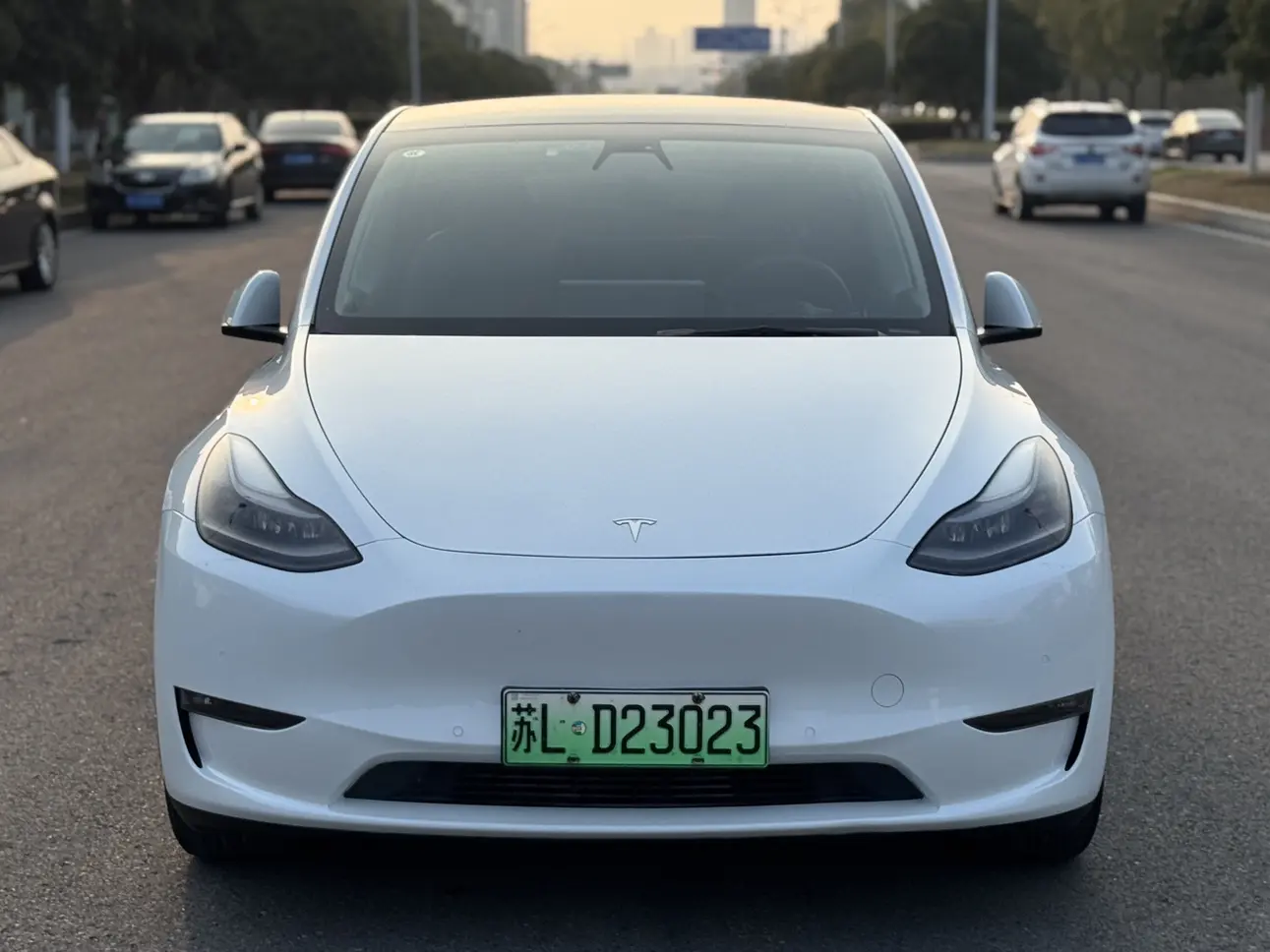 Tesla Model Y  из Китая