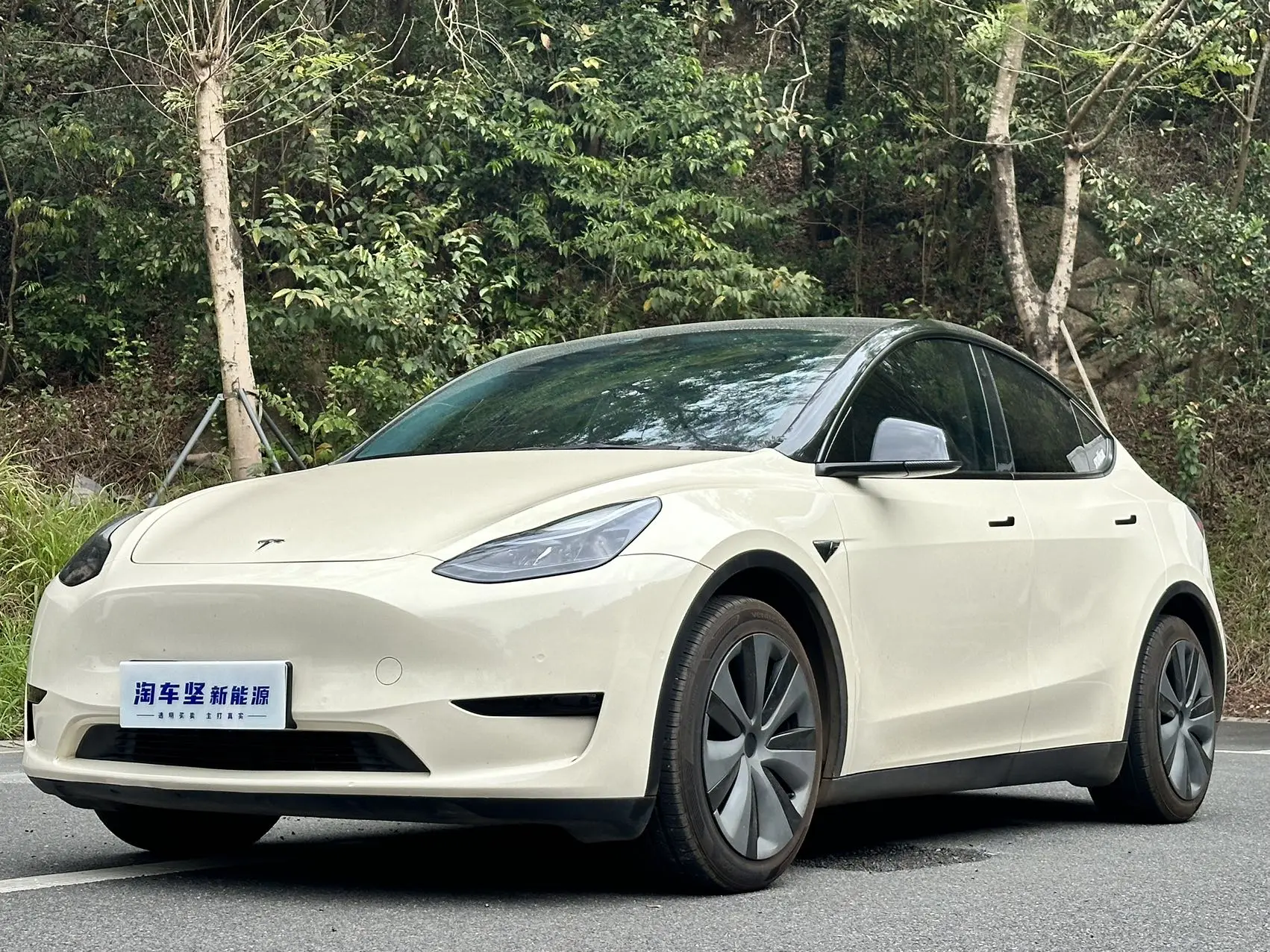 Tesla Model Y  из Китая