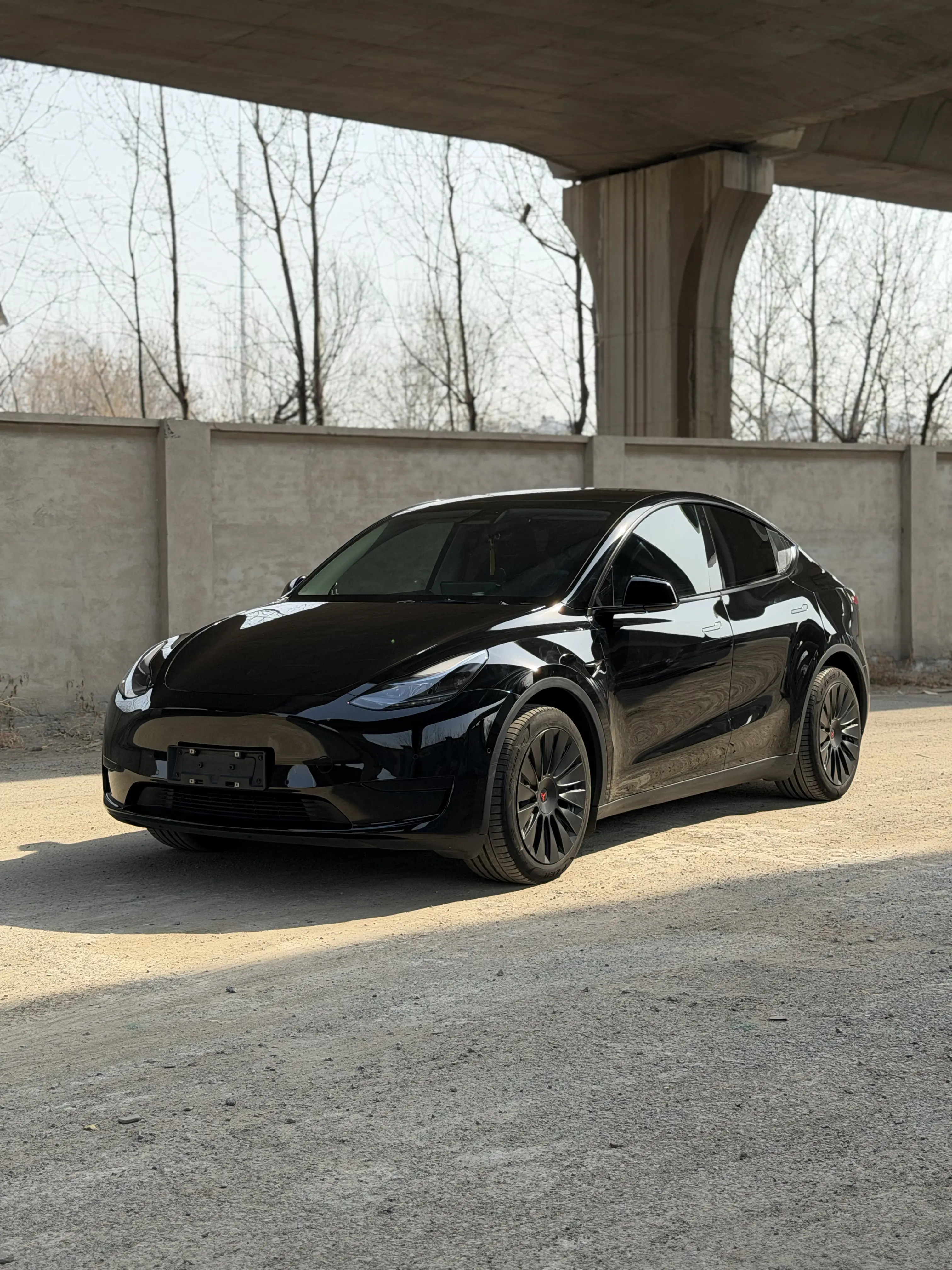 Tesla Model Y  из Китая