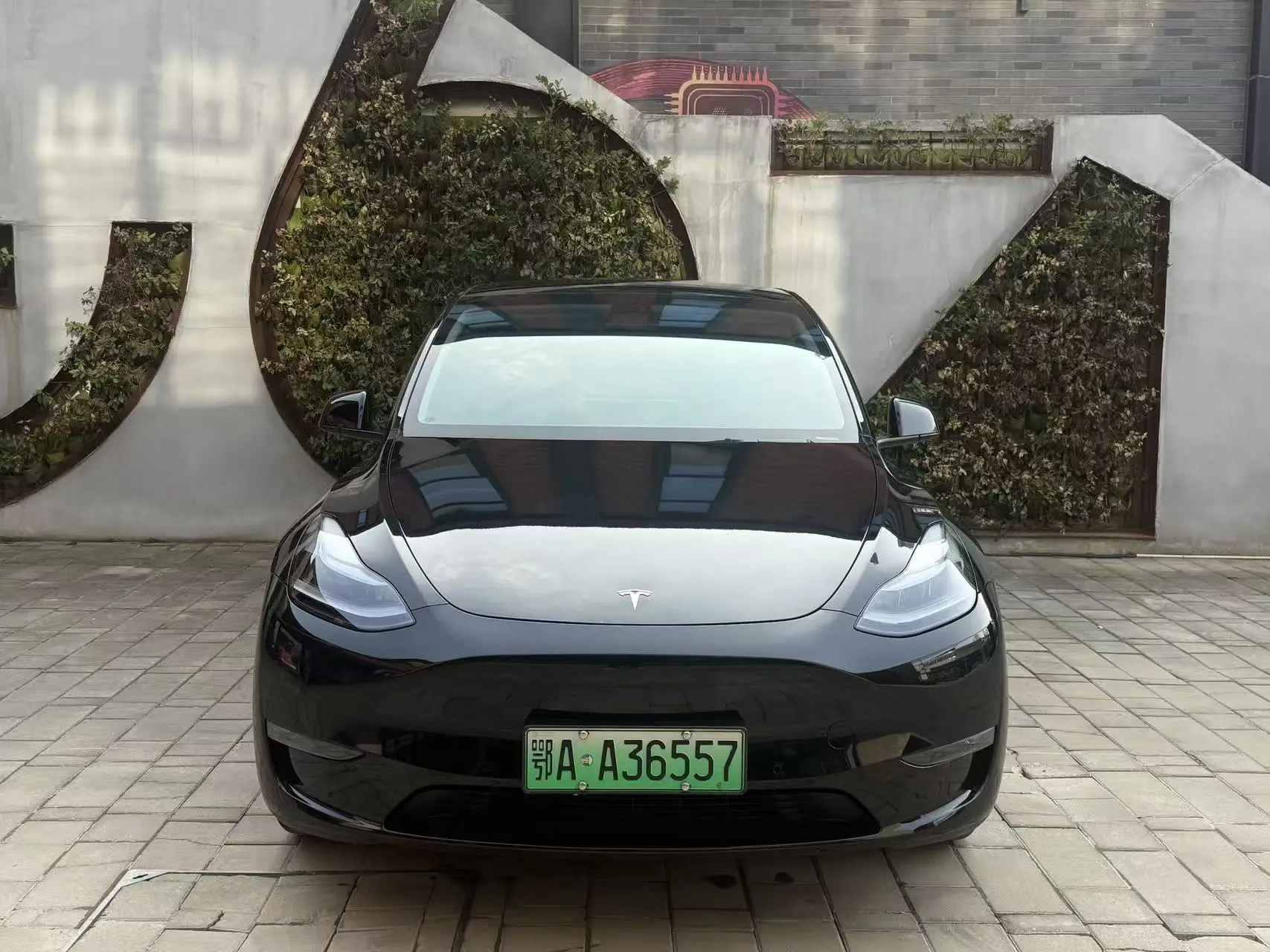Tesla Model Y  из Китая