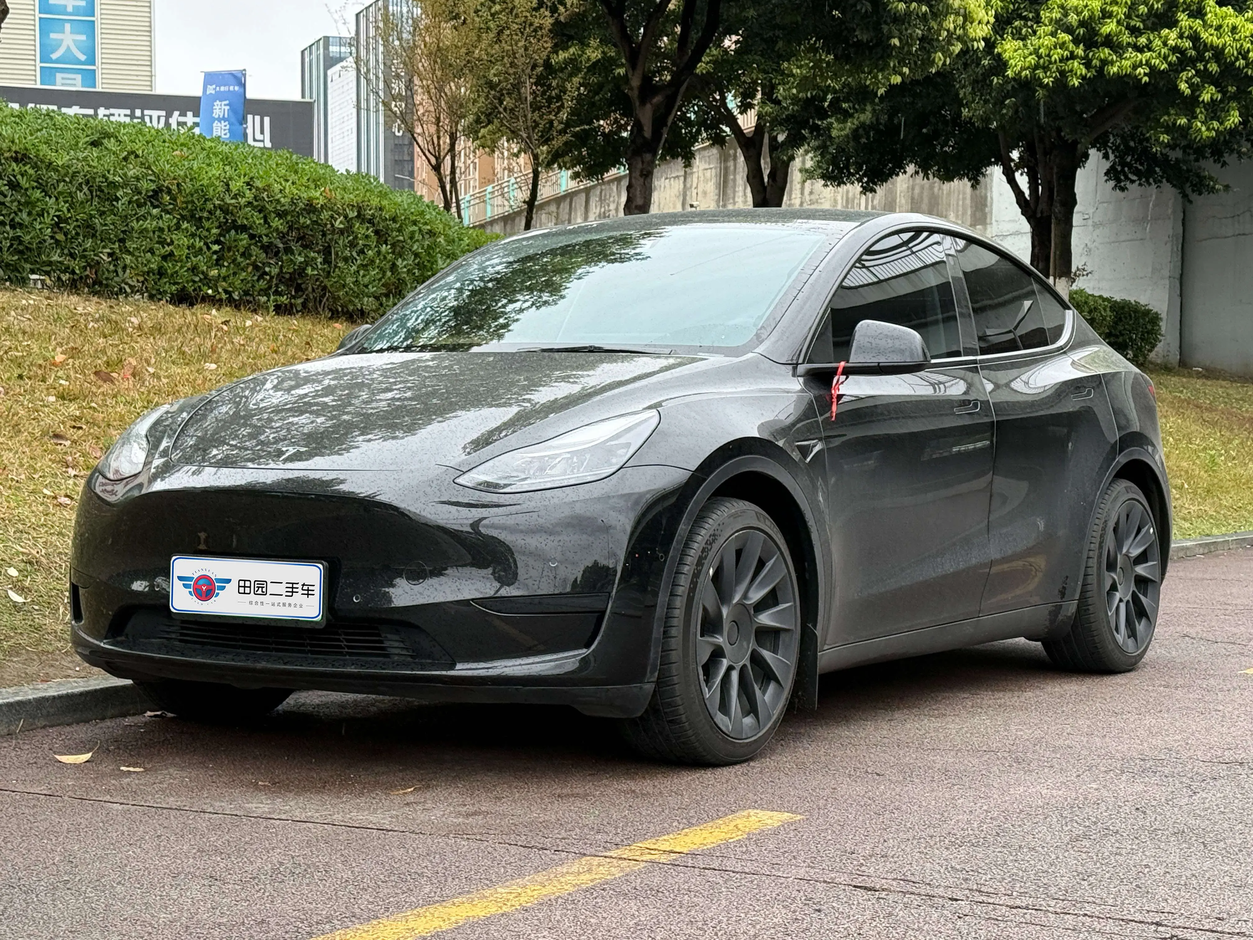 Tesla Model Y  из Китая