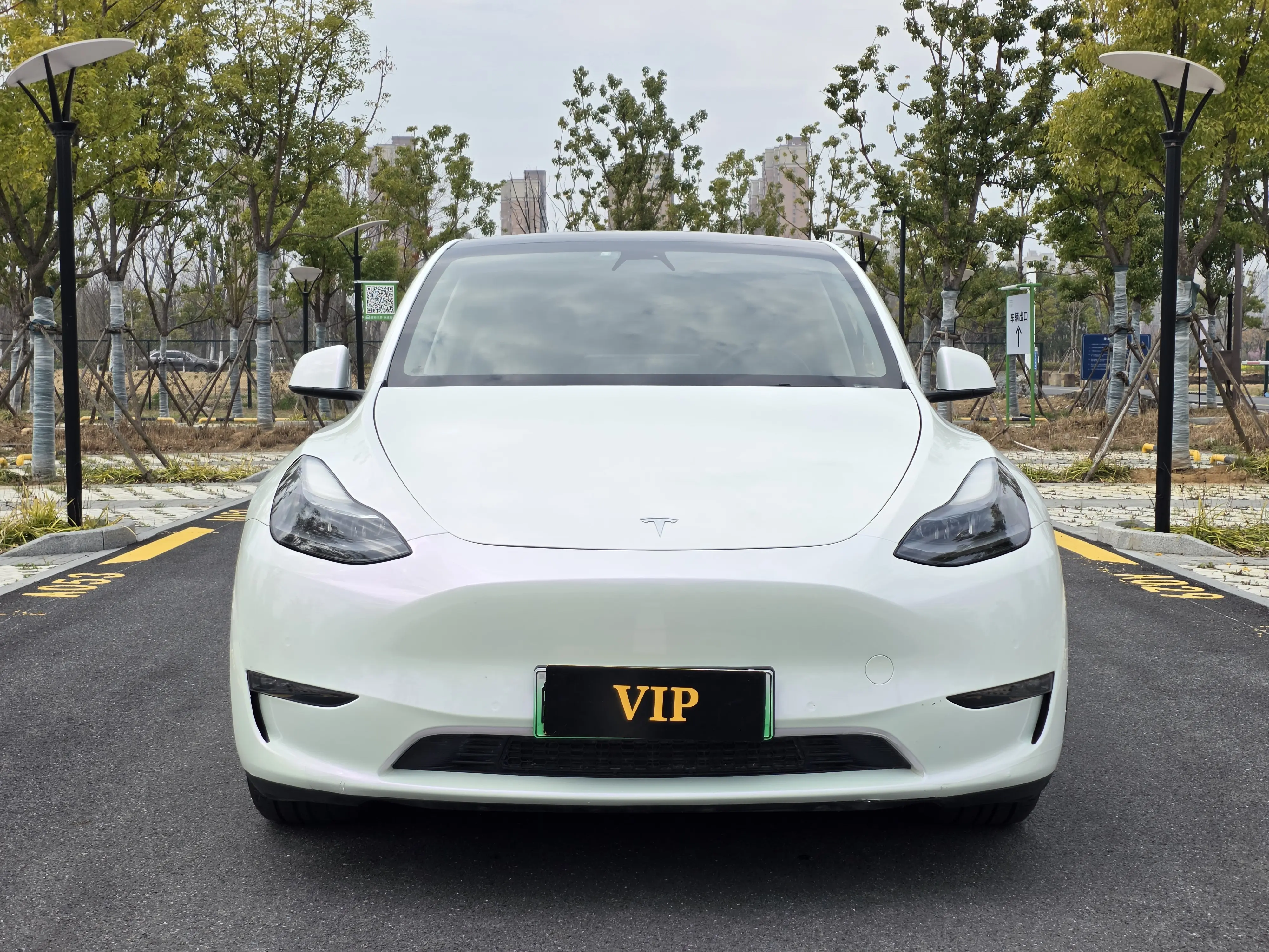 Tesla Model Y  из Китая