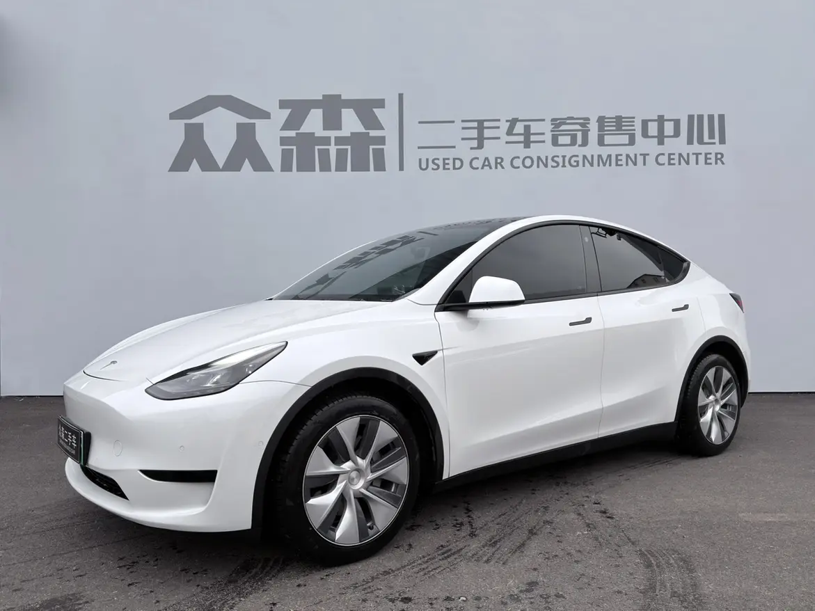 Tesla Model Y  из Китая