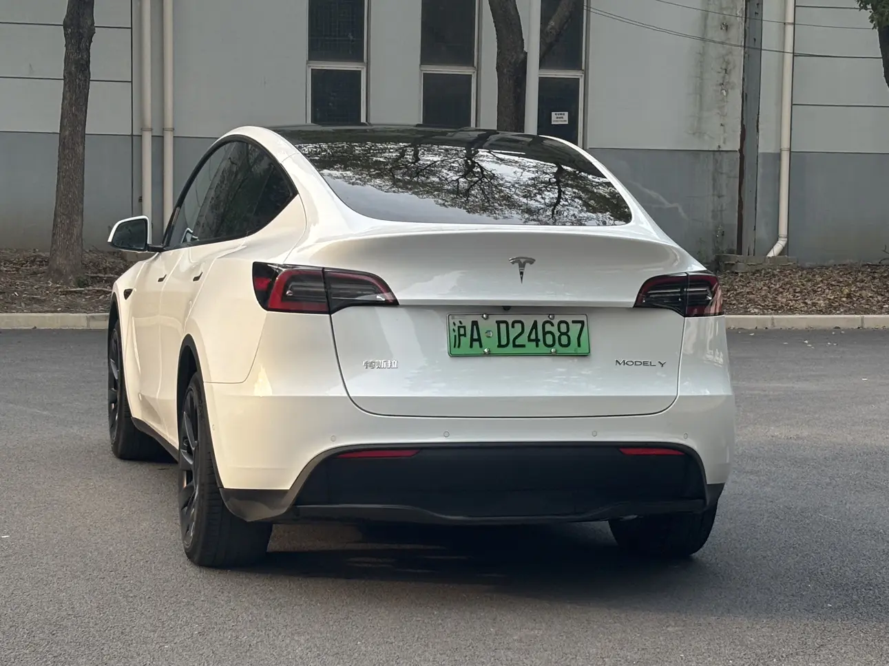 Tesla Model Y  из Китая