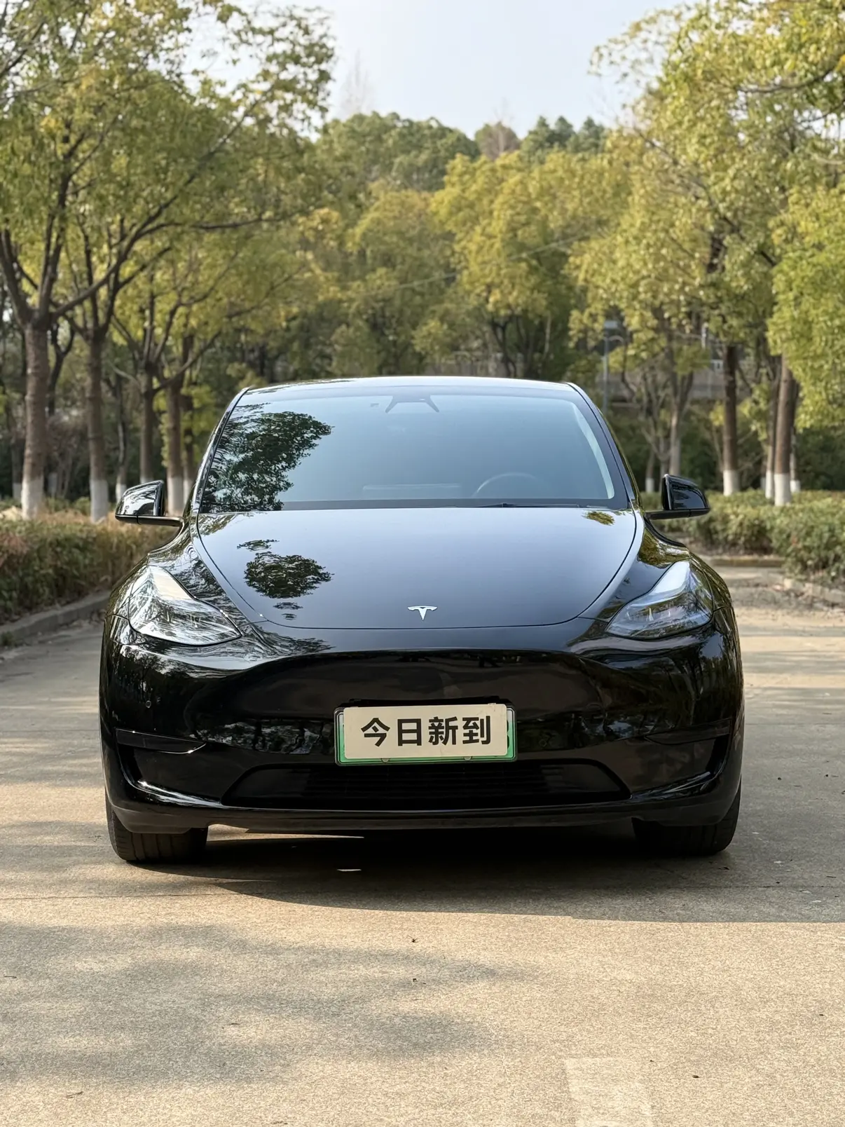 Tesla Model Y  из Китая