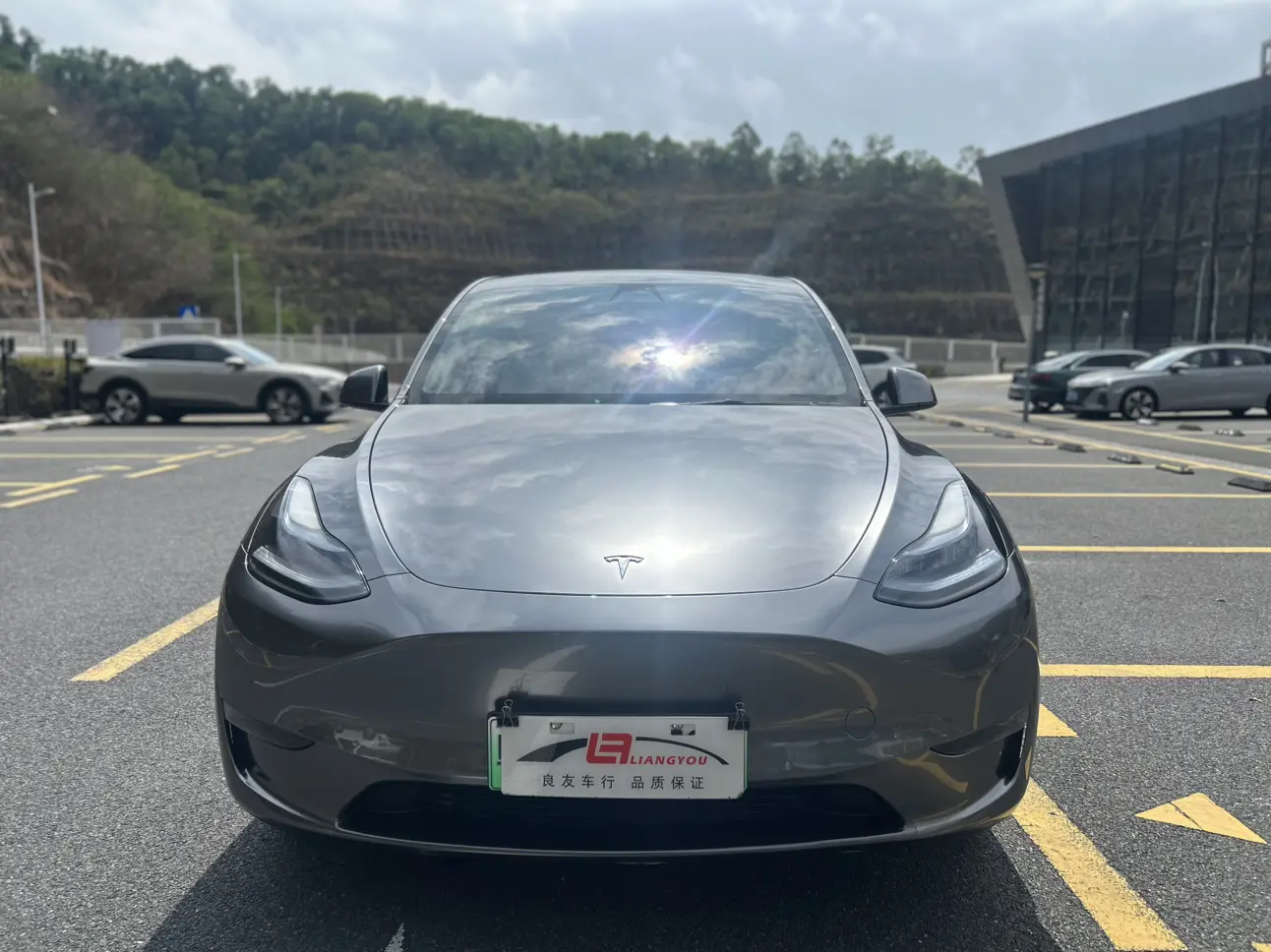 Tesla Model Y  из Китая