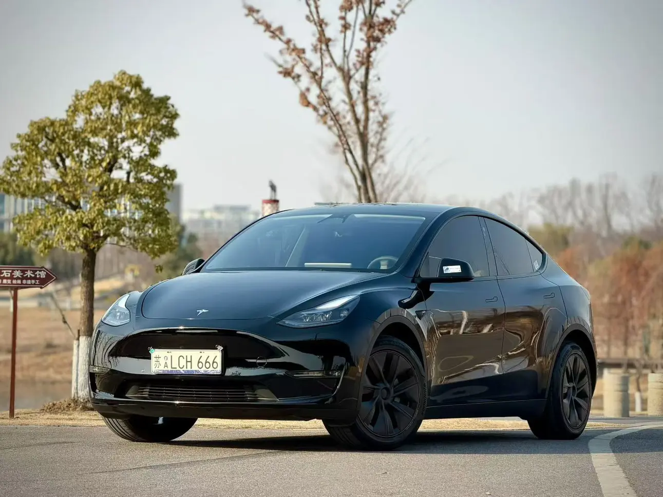 Tesla Model Y  из Китая