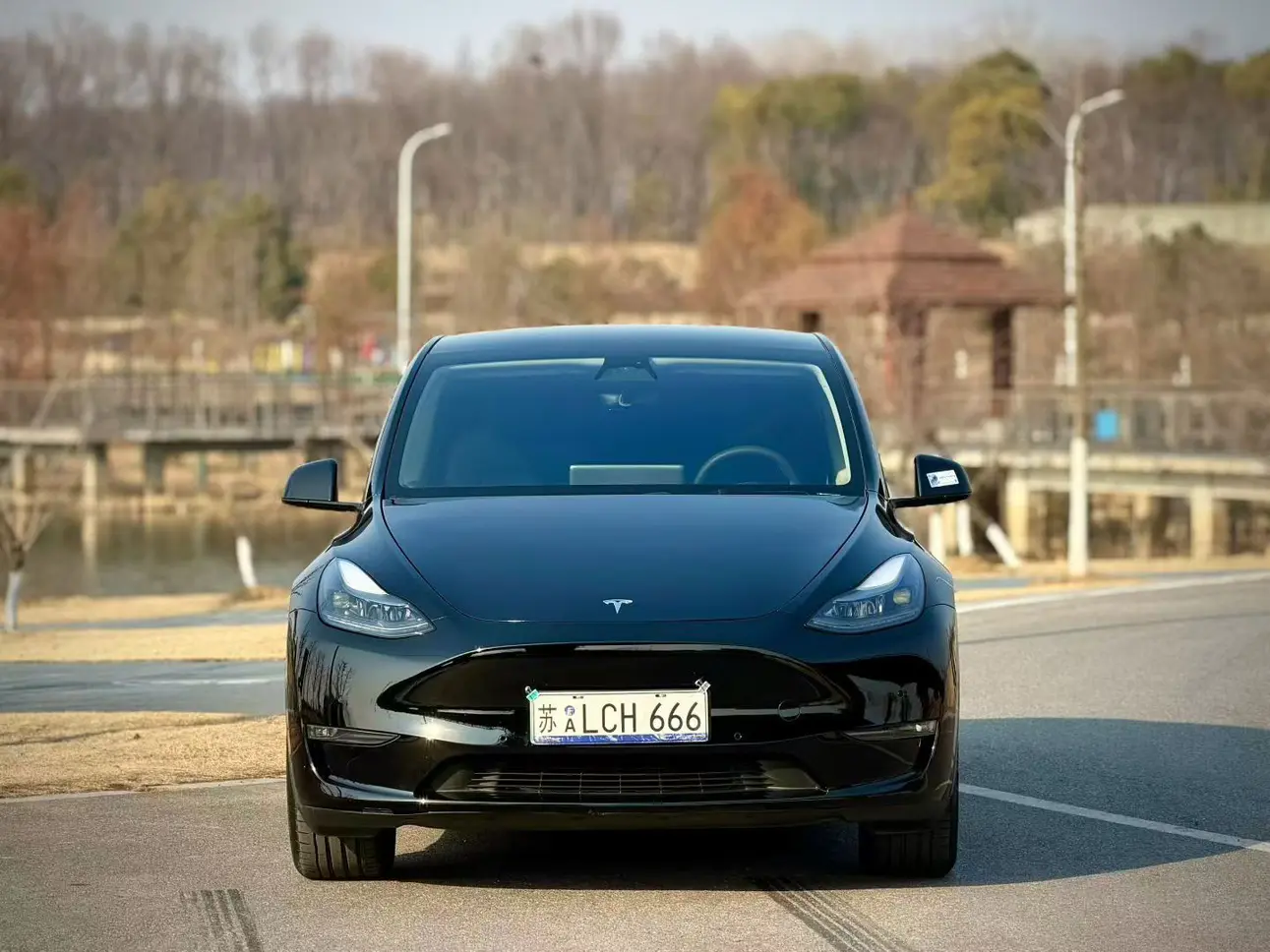 Tesla Model Y  из Китая