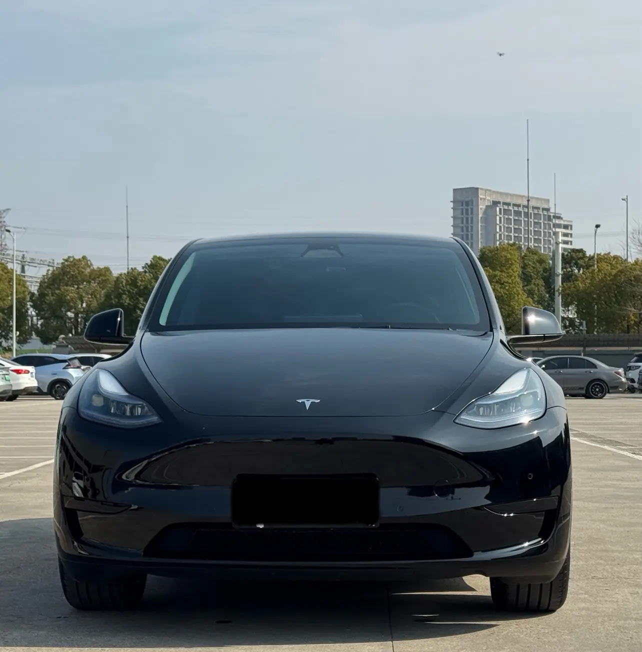 Tesla Model Y  из Китая
