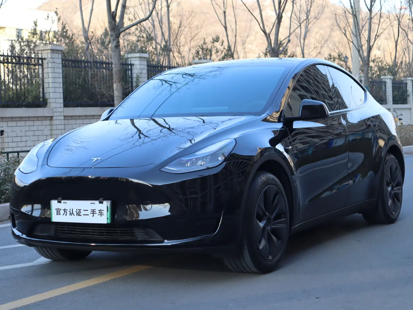 Tesla Model Y  из Китая