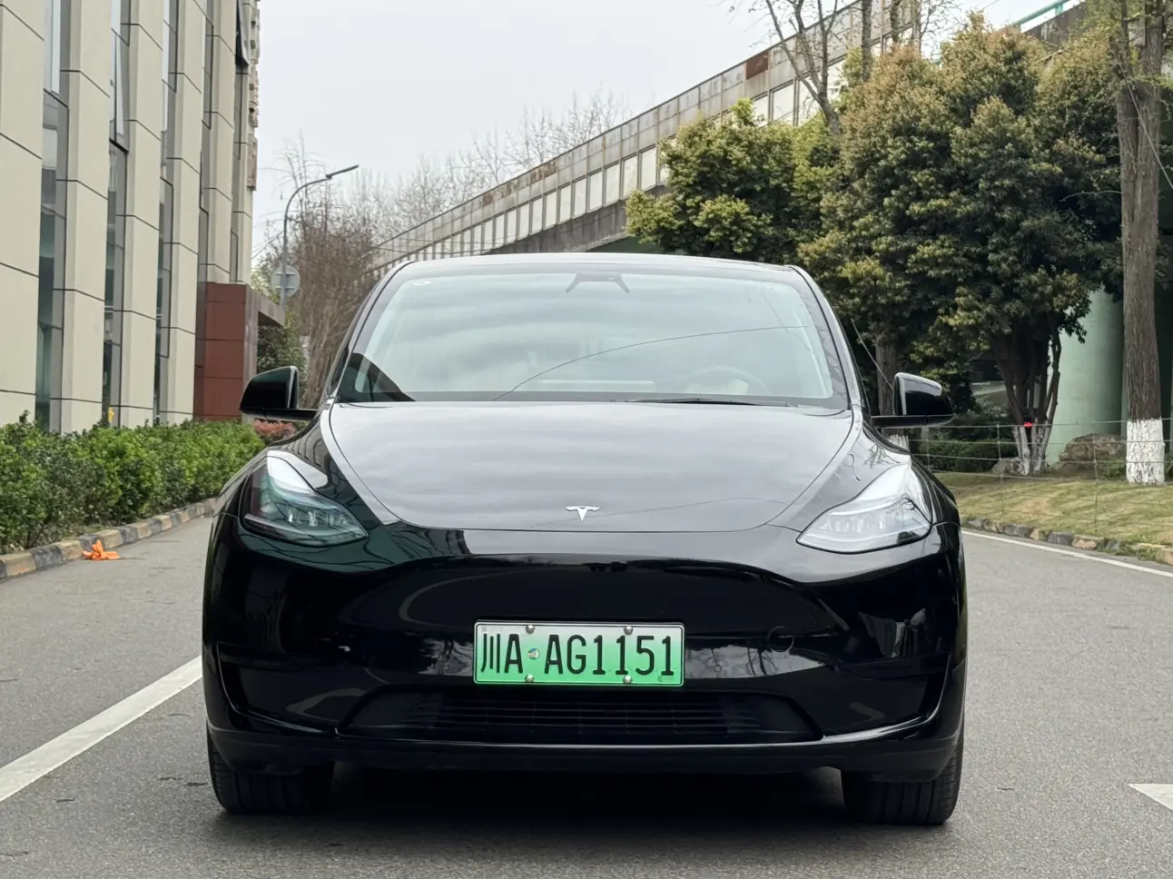 Tesla Model Y  из Китая