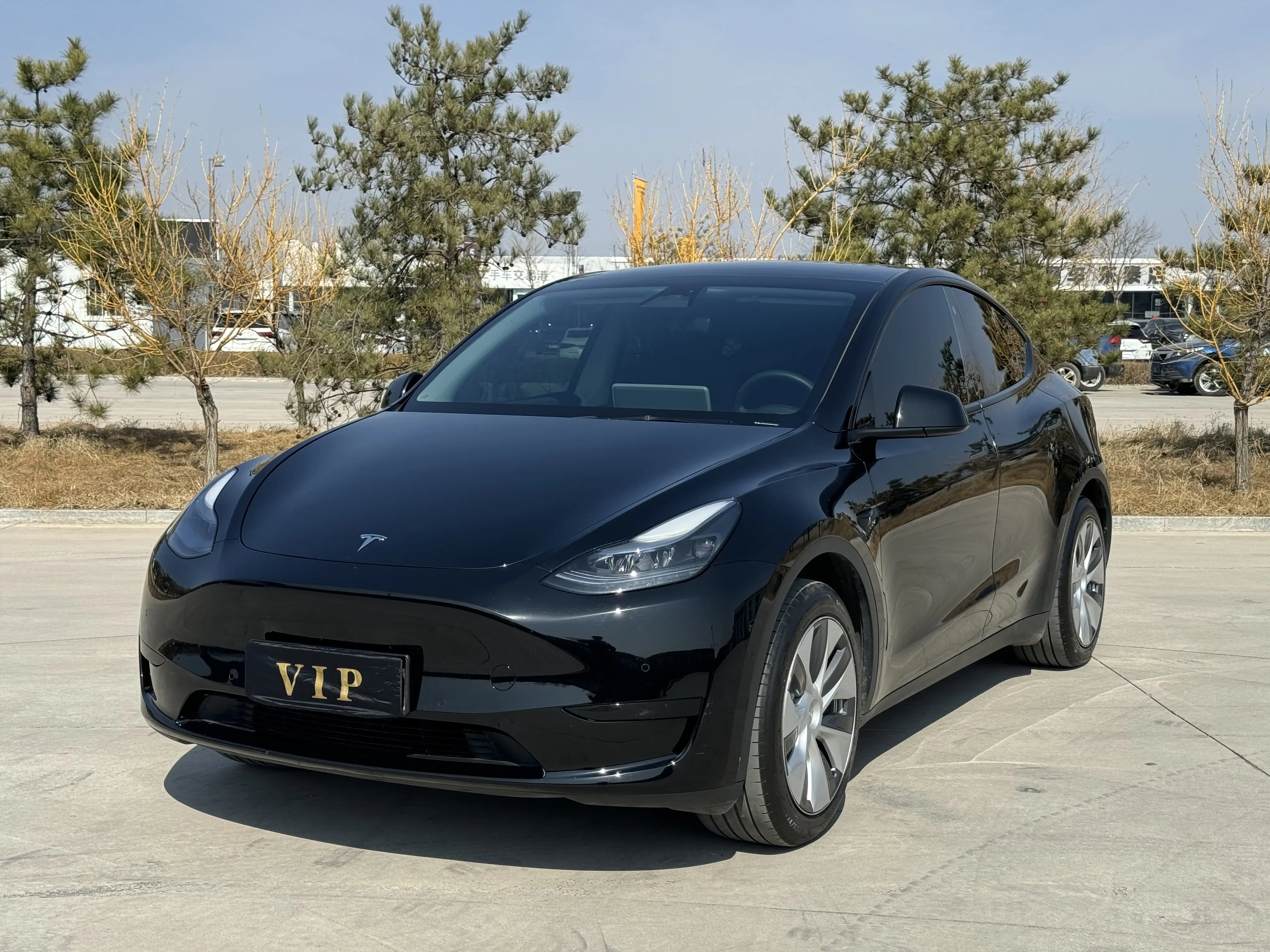 Tesla Model Y  из Китая