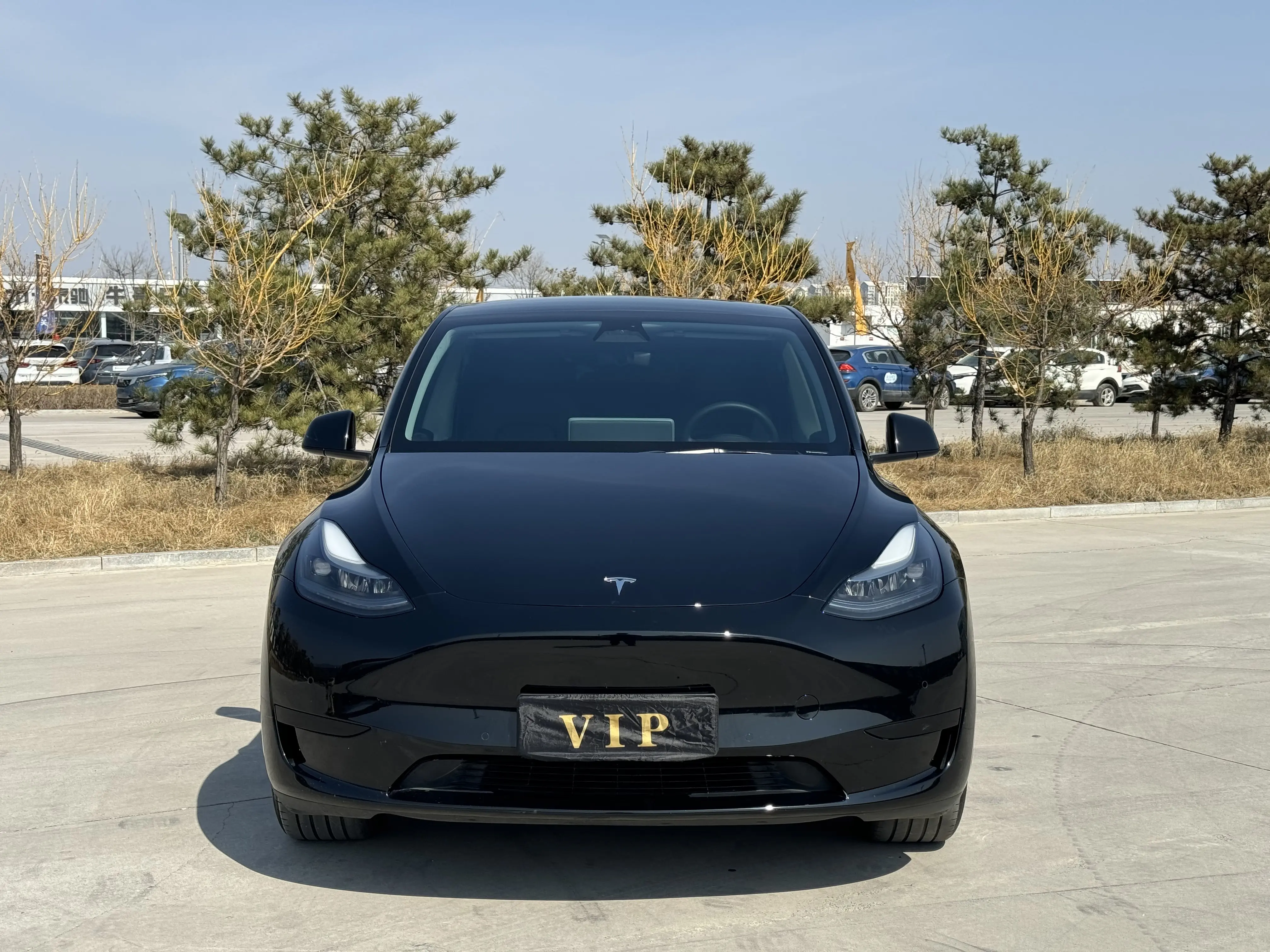 Tesla Model Y  из Китая