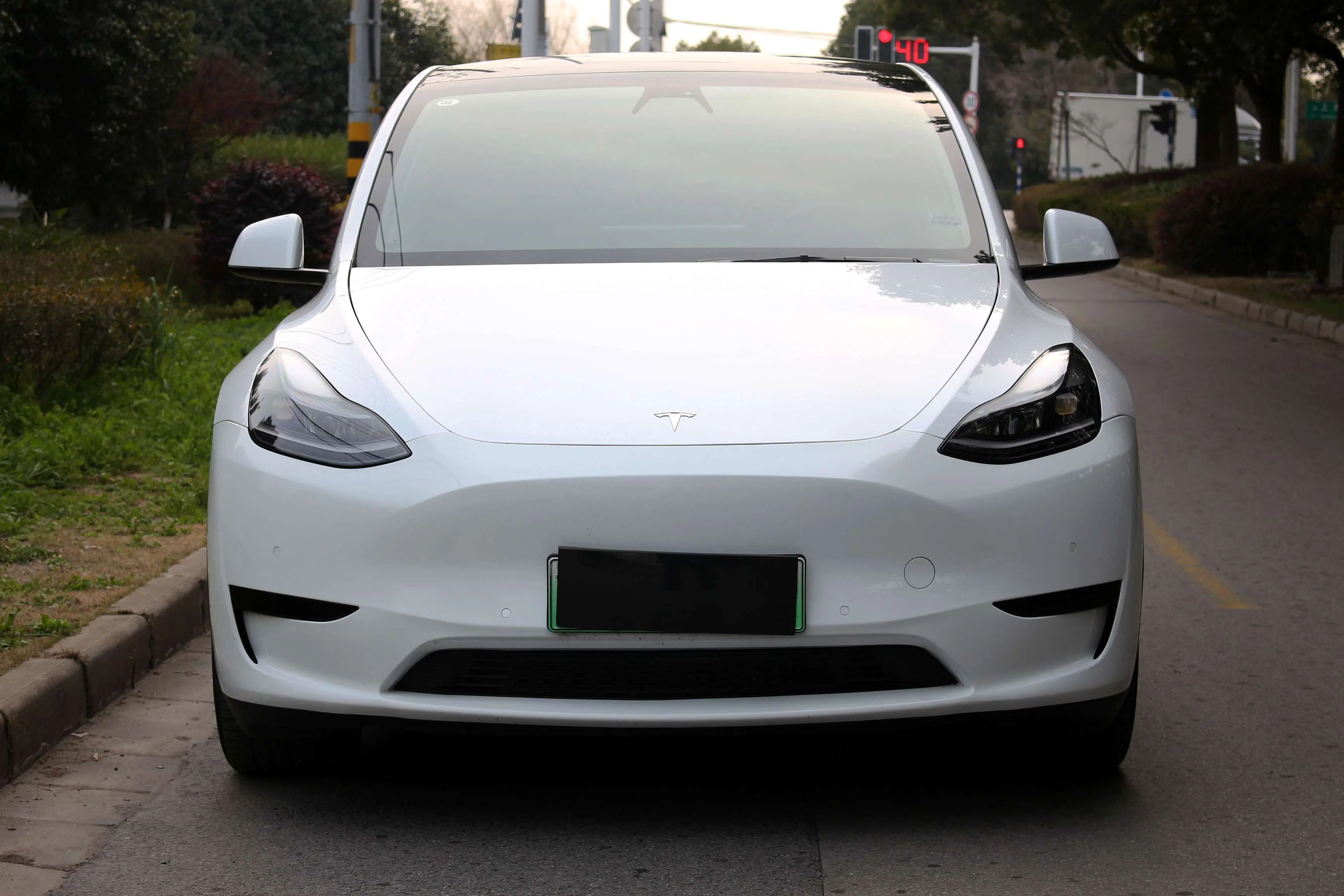 Tesla Model Y  из Китая