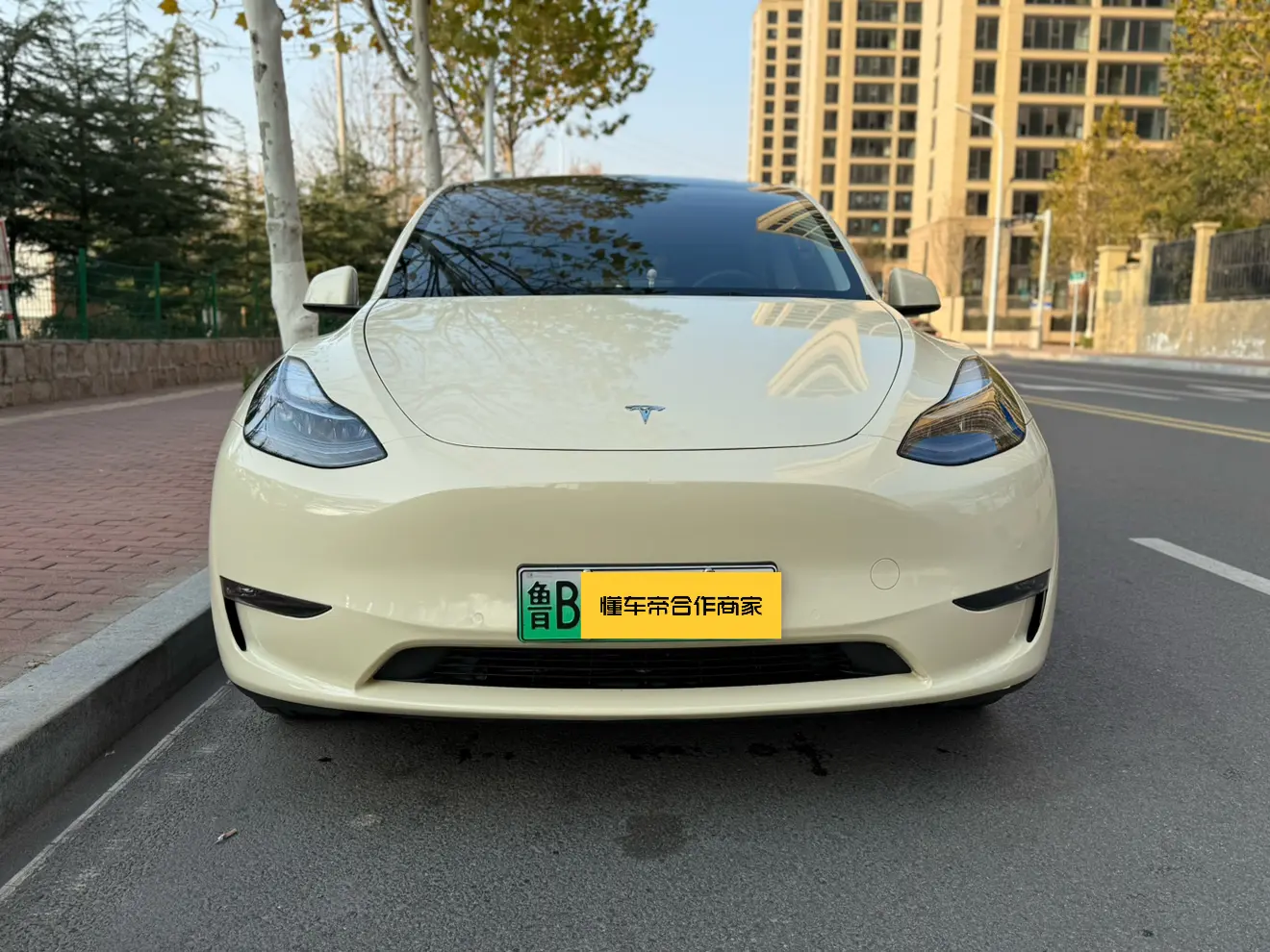 Tesla Model Y  из Китая