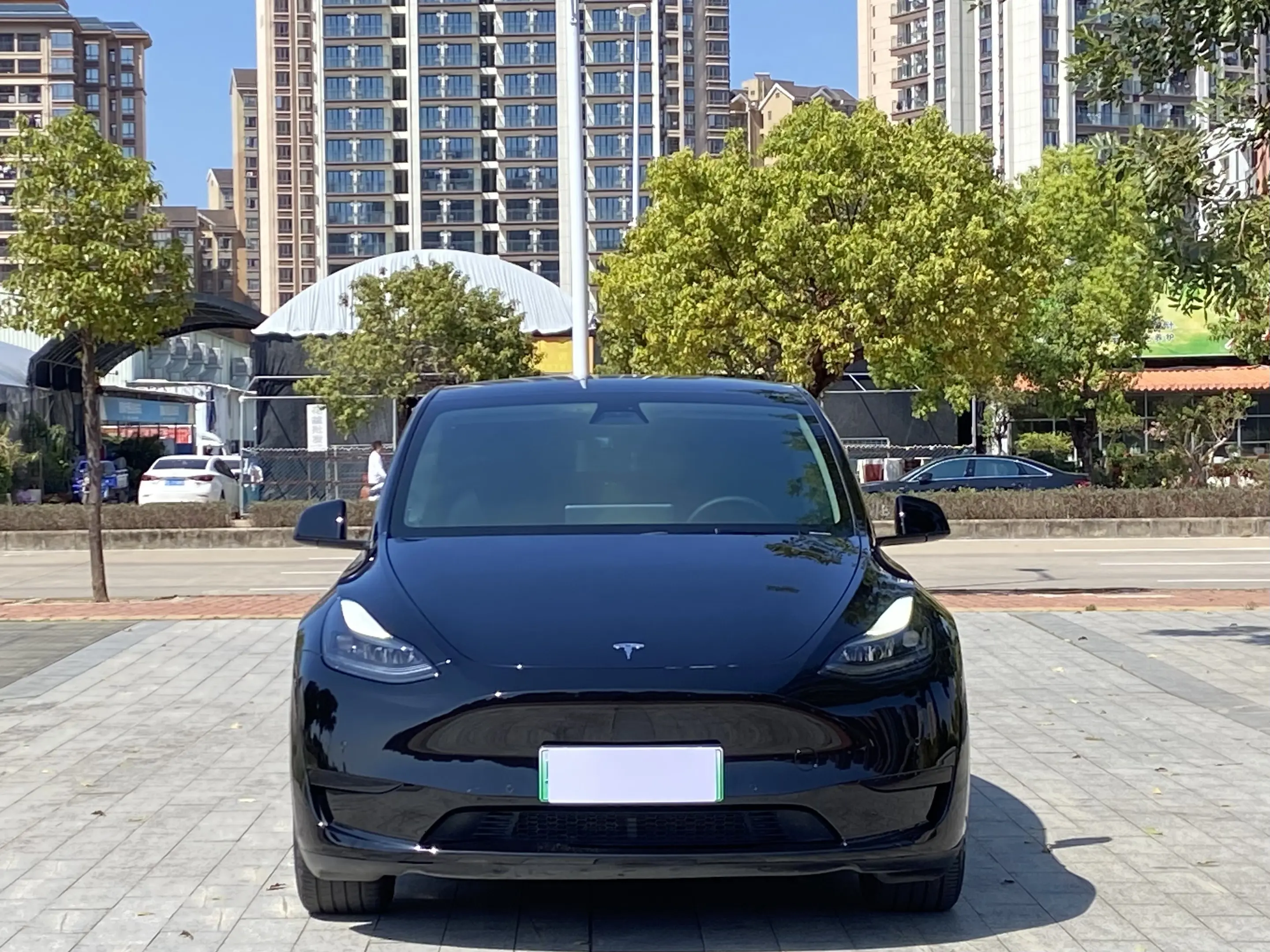 Tesla Model Y  из Китая