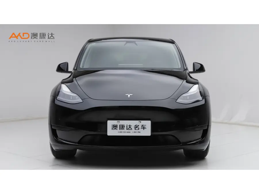 Tesla Model Y  из Китая