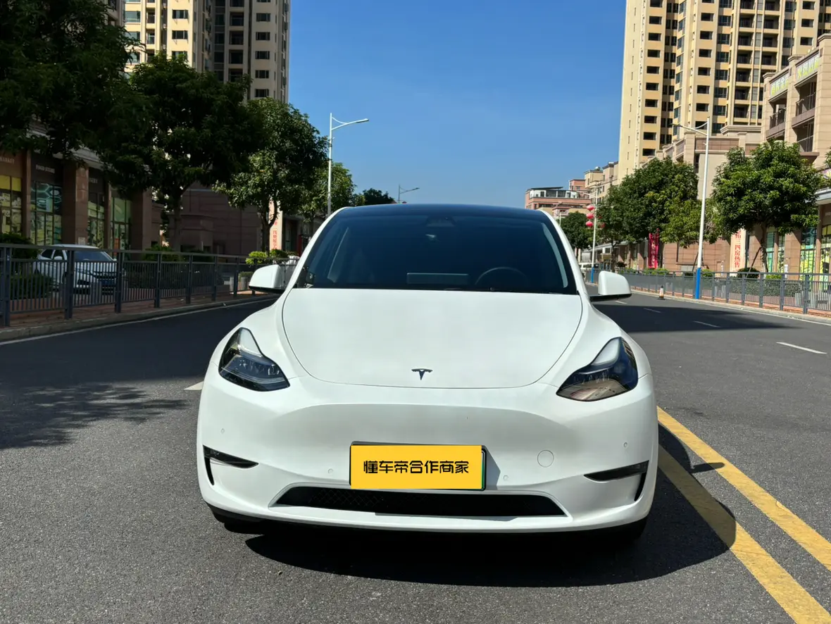 Tesla Model Y  из Китая