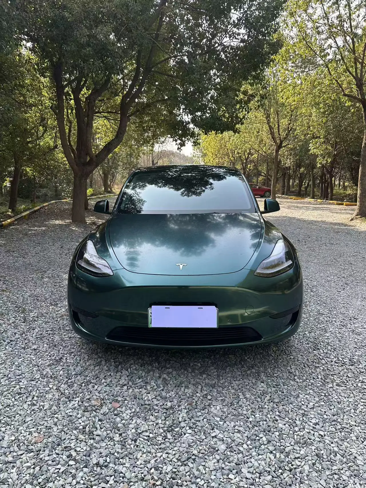 Tesla Model Y  из Китая