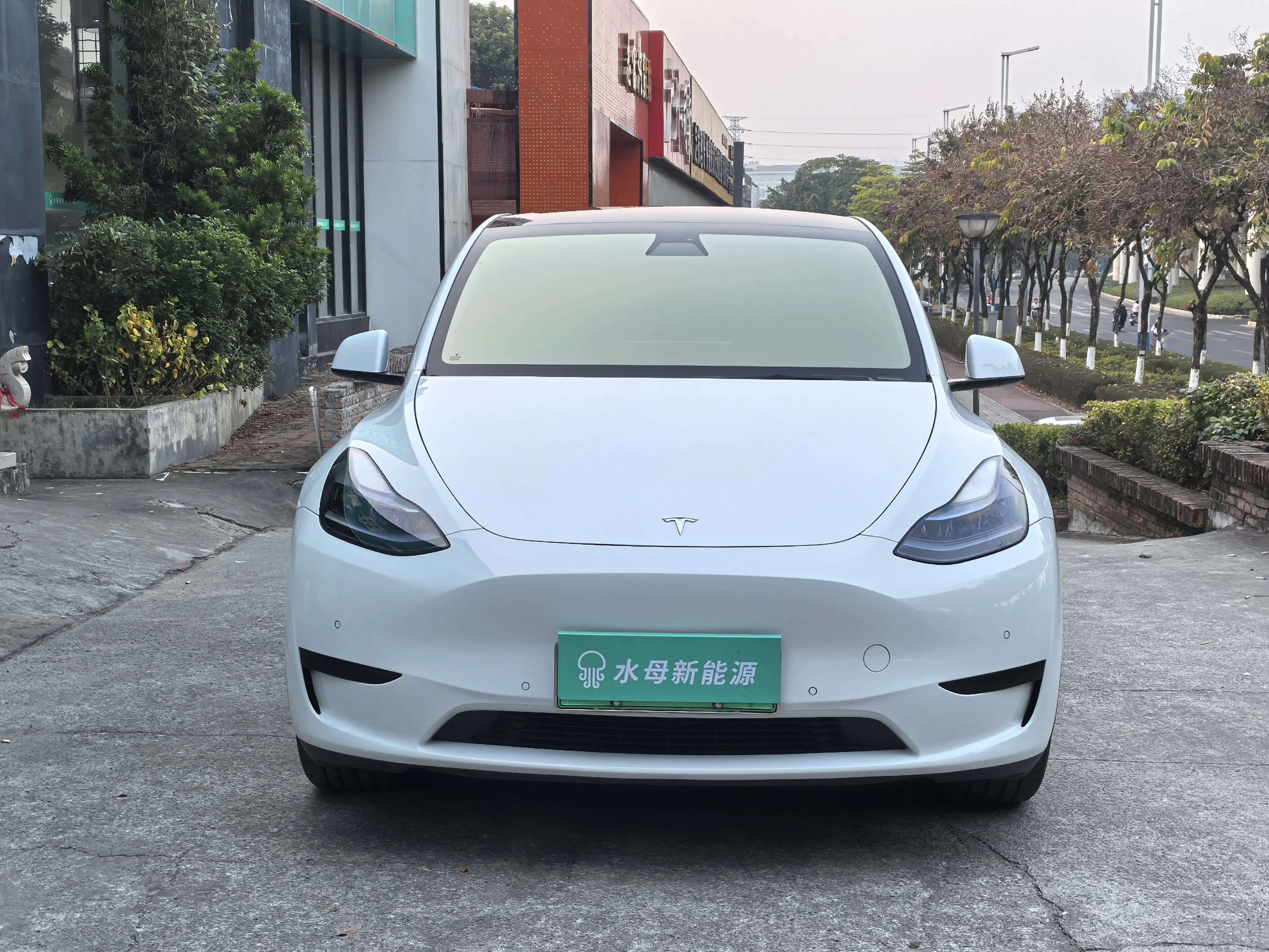 Tesla Model Y  из Китая