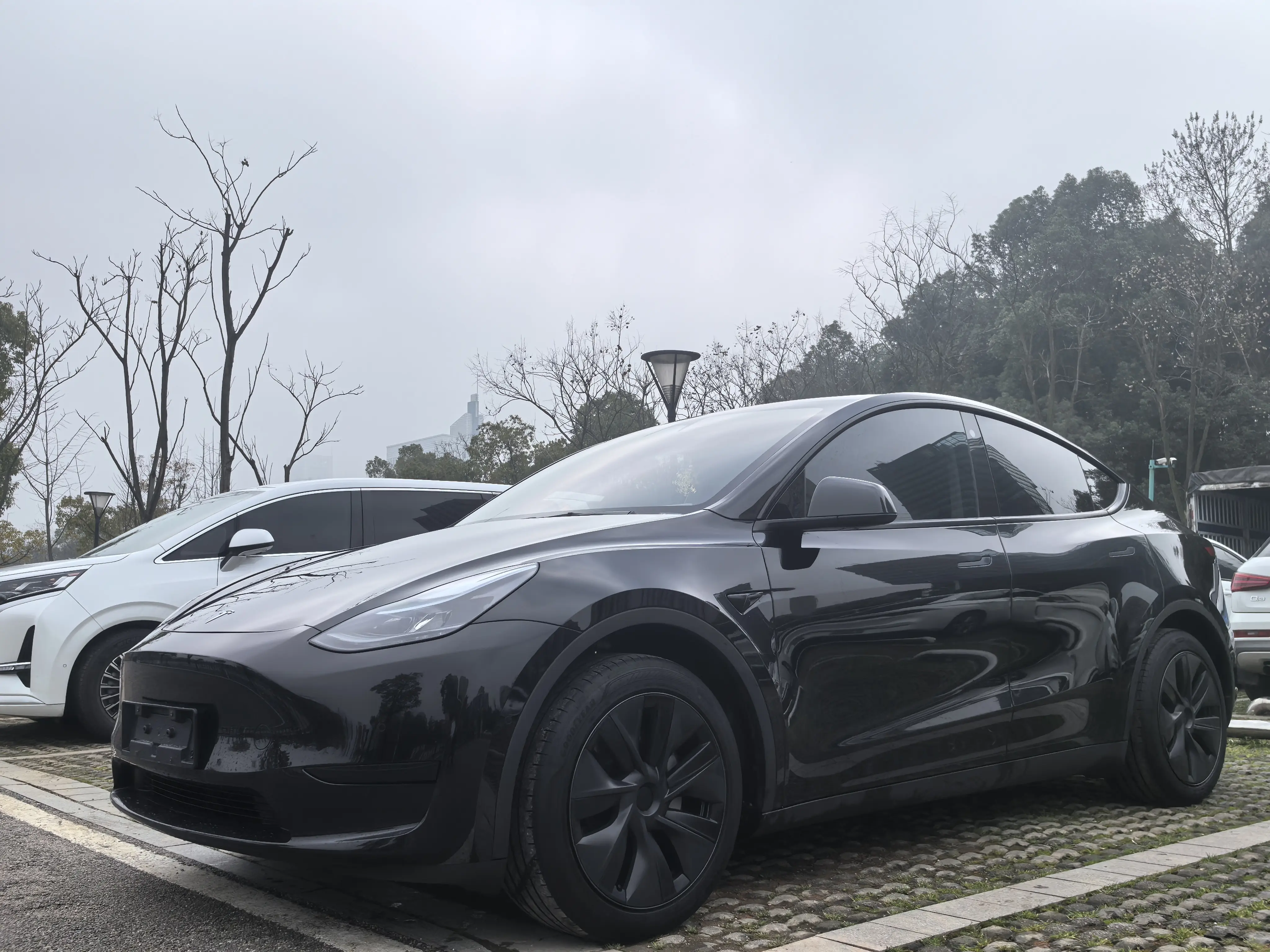 Tesla Model Y  из Китая