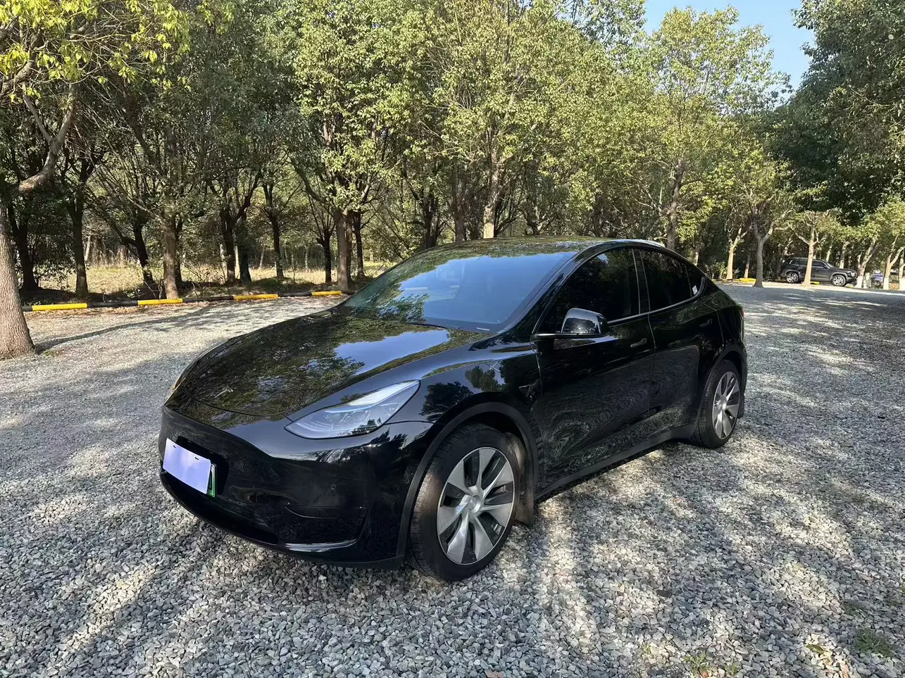 Tesla Model Y  из Китая