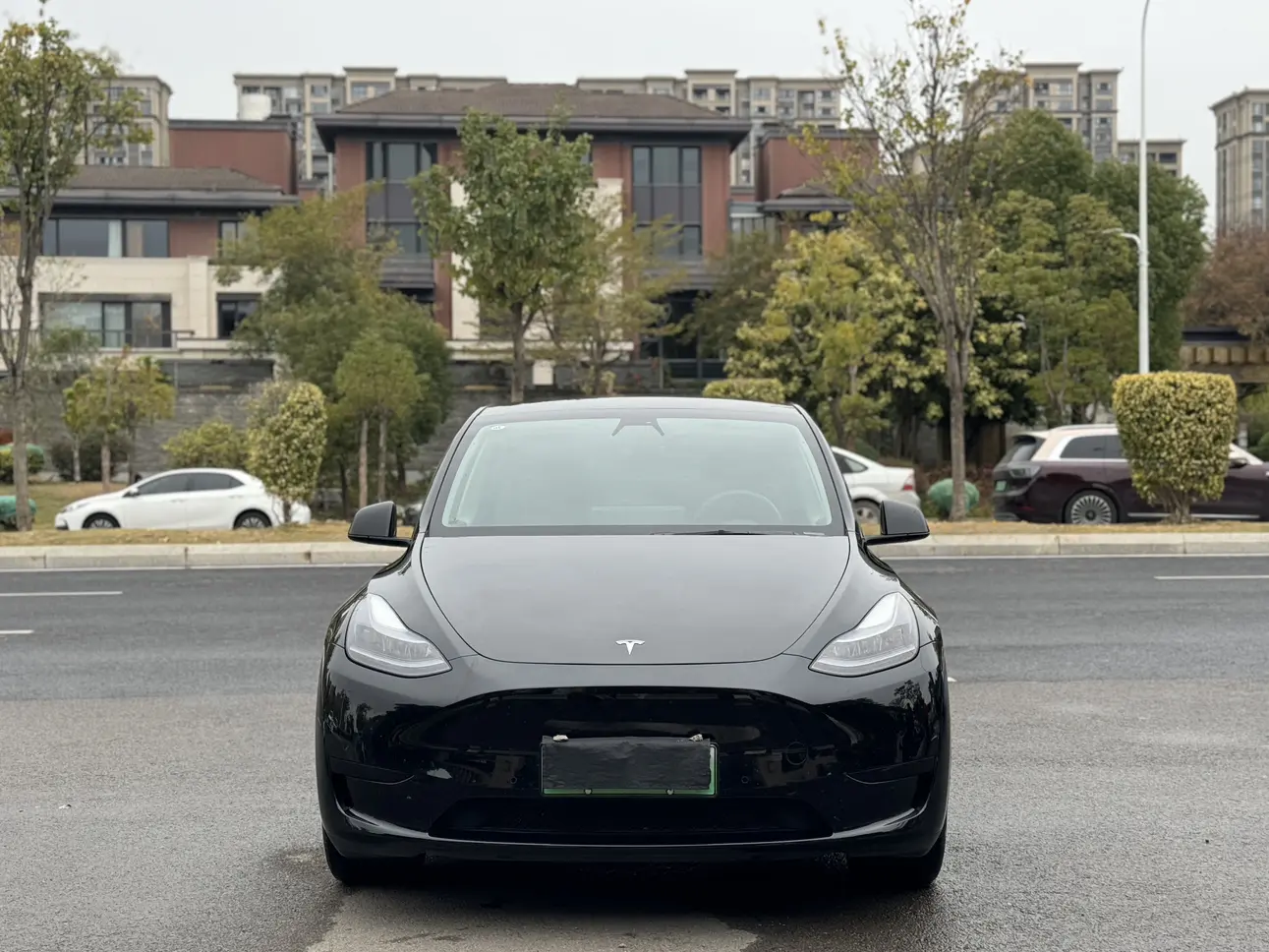 Tesla Model Y  из Китая