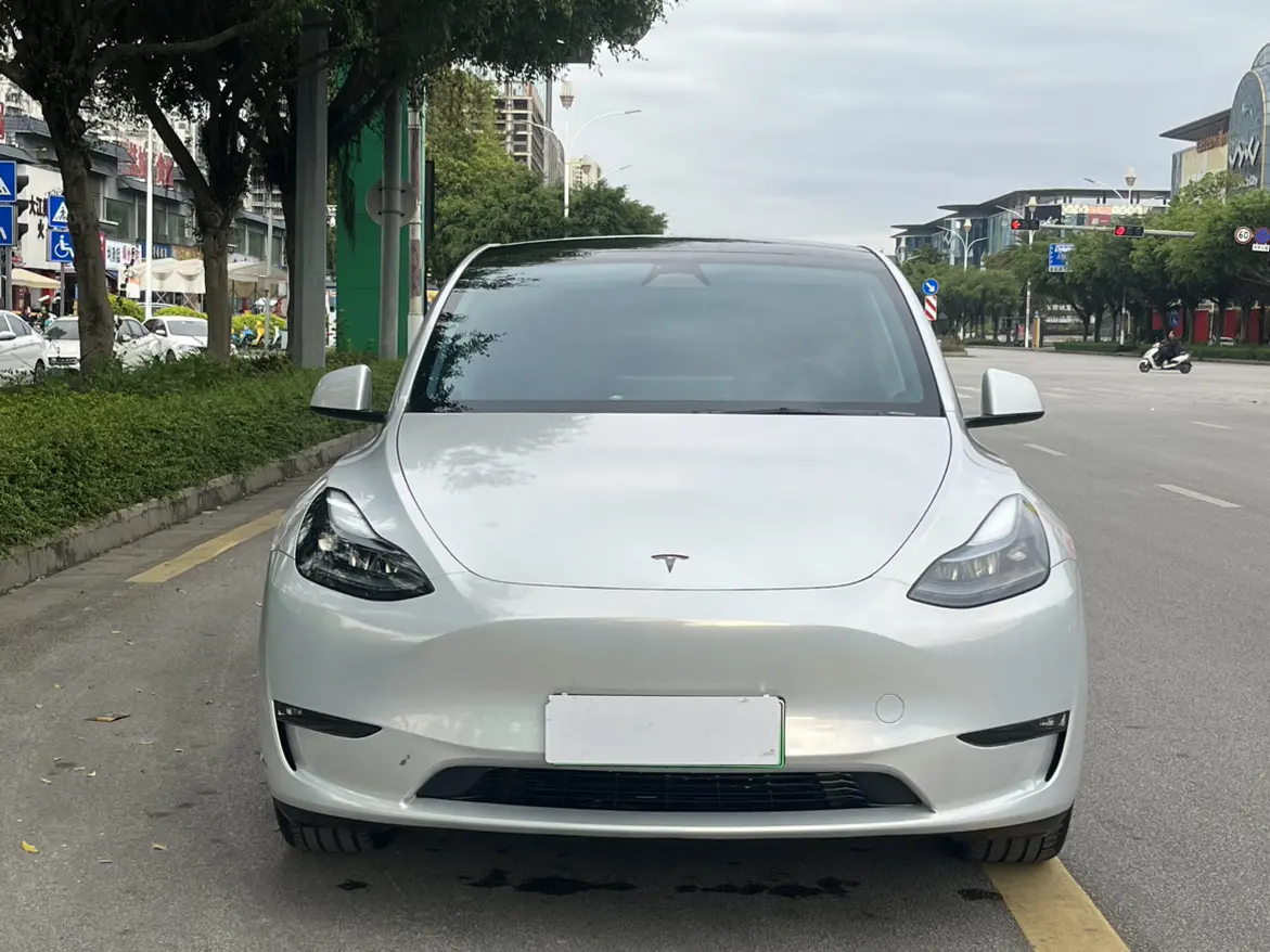 Tesla Model Y  из Китая