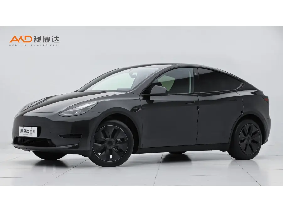 Tesla Model Y  из Китая