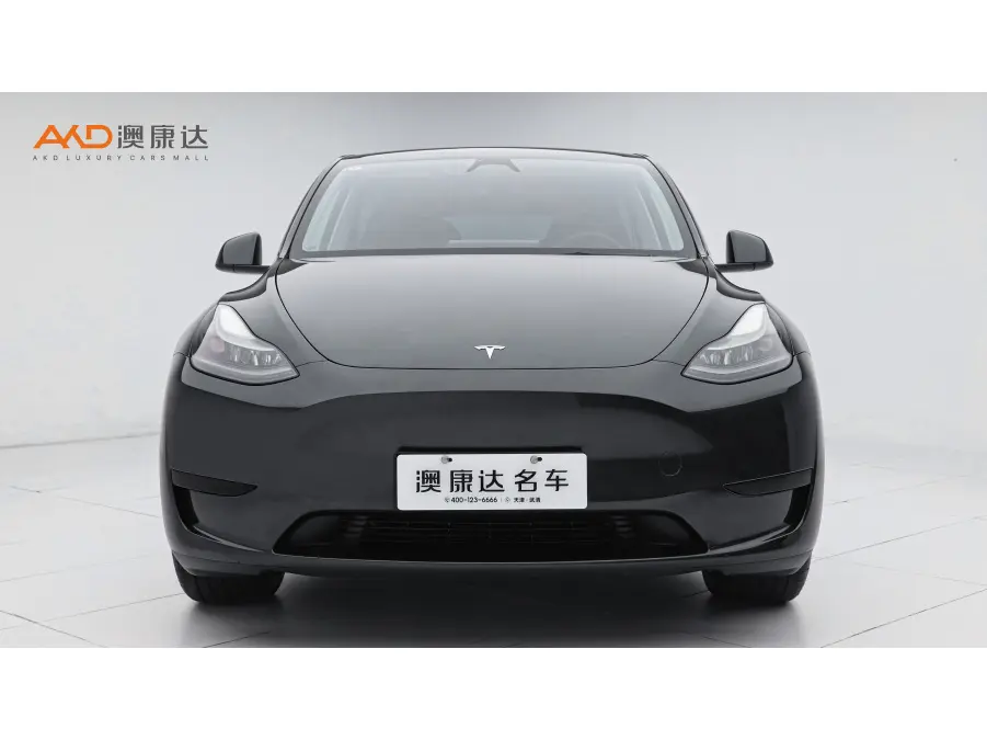 Tesla Model Y  из Китая