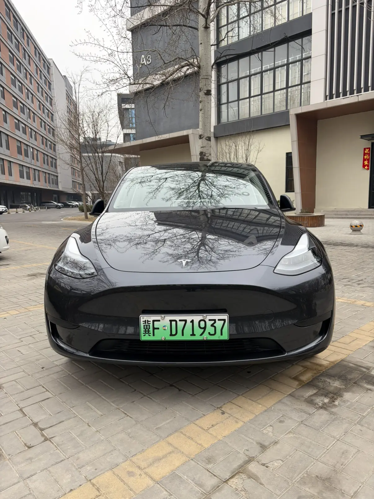 Tesla Model Y  из Китая