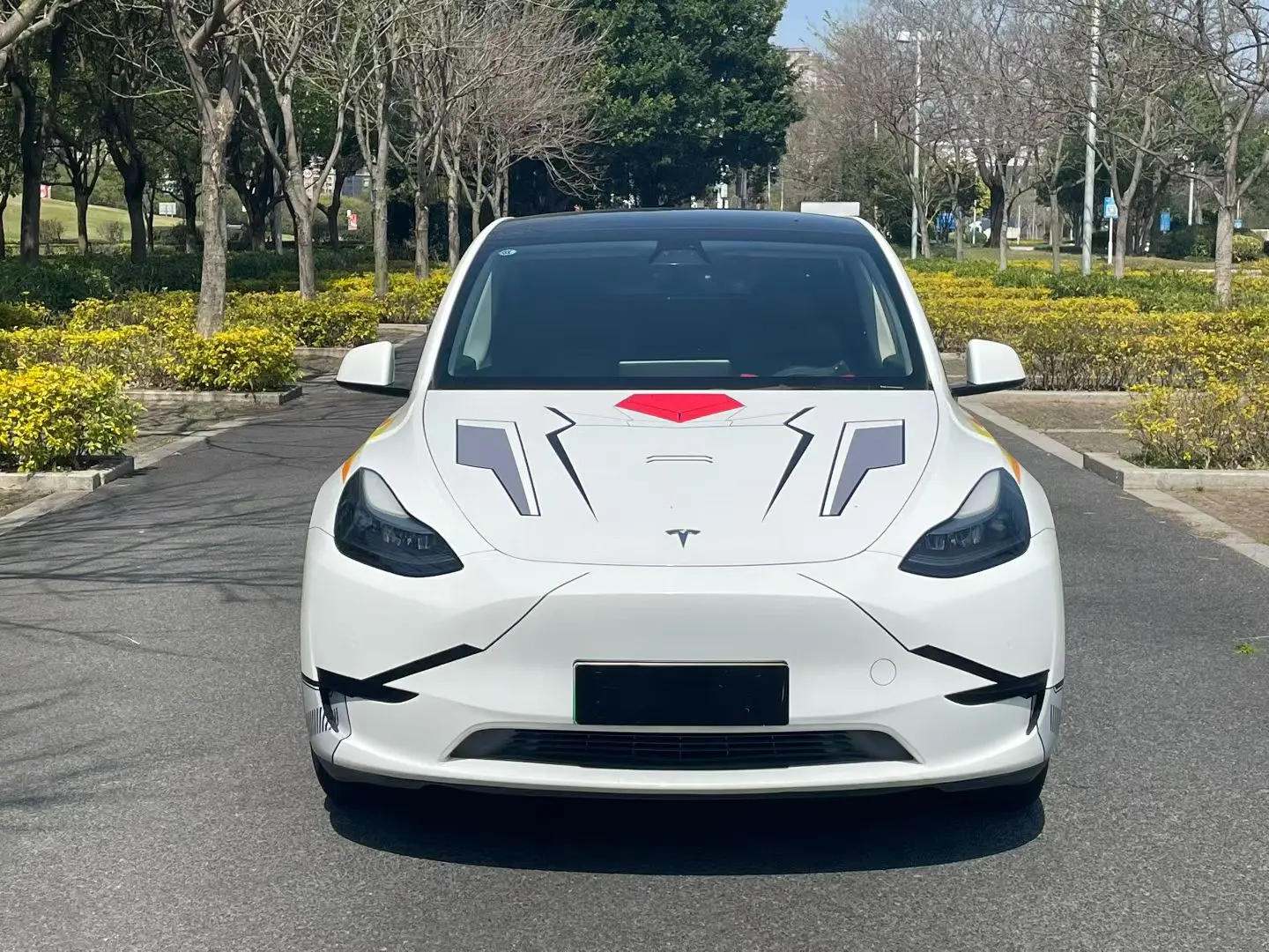 Tesla Model Y  из Китая