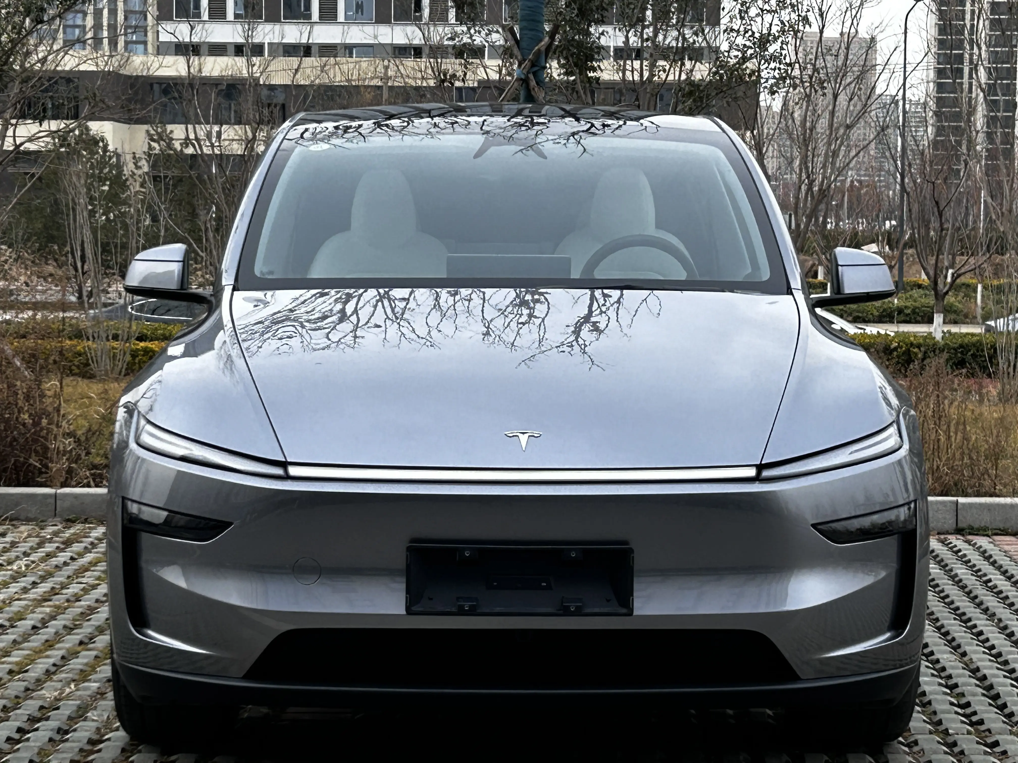 Tesla Model Y  из Китая