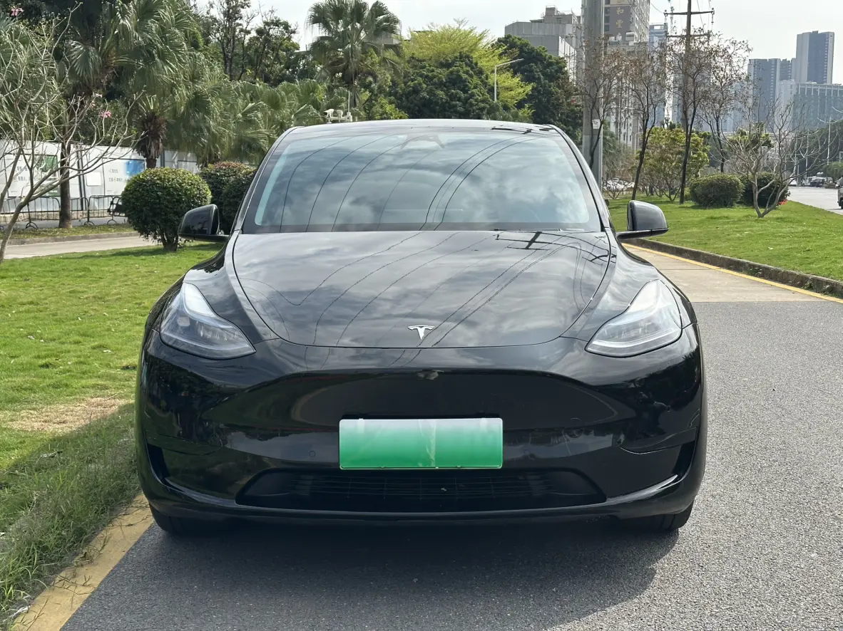 Tesla Model Y  из Китая