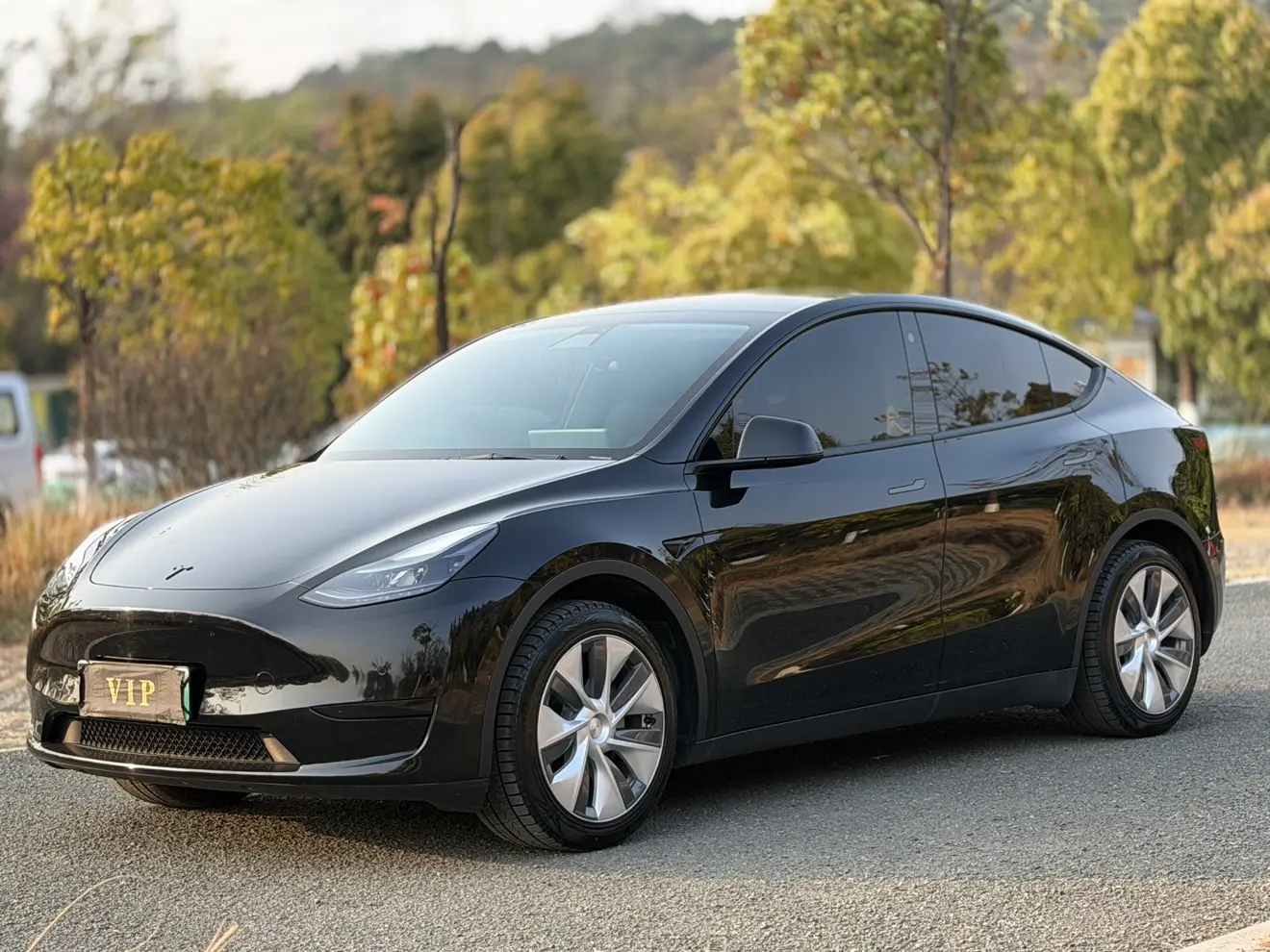 Tesla Model Y  из Китая