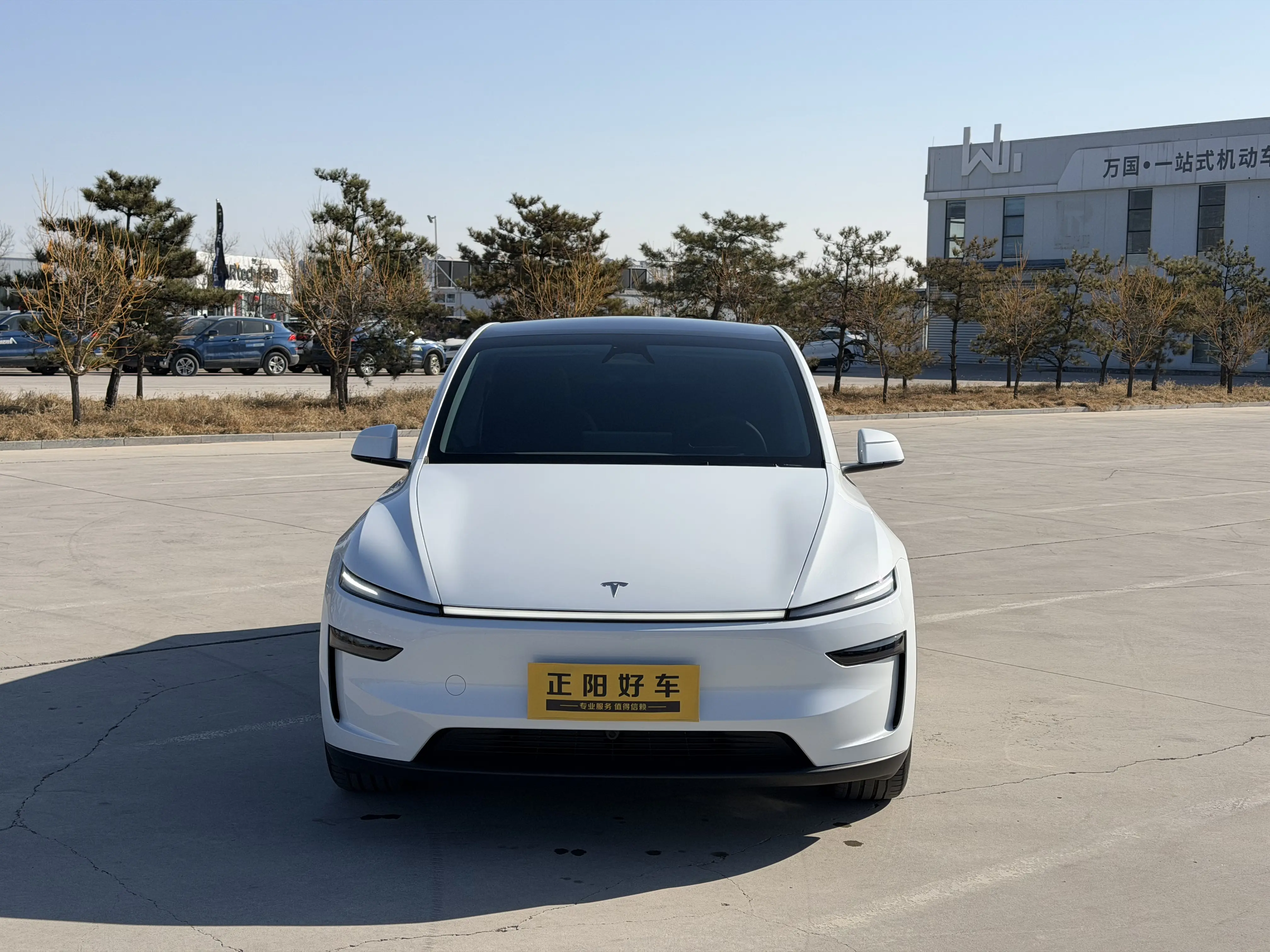 Tesla Model Y  из Китая